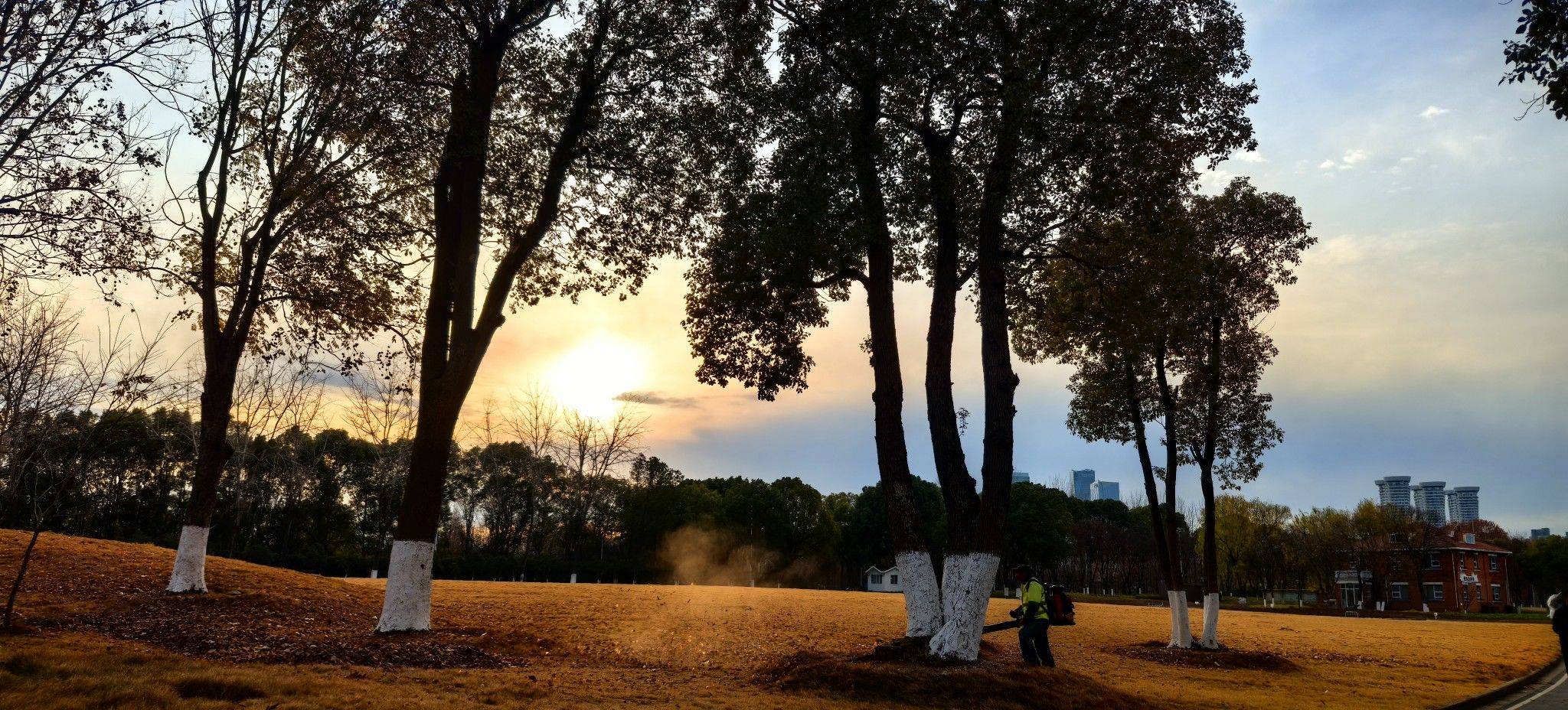 告别2025，期待2026！