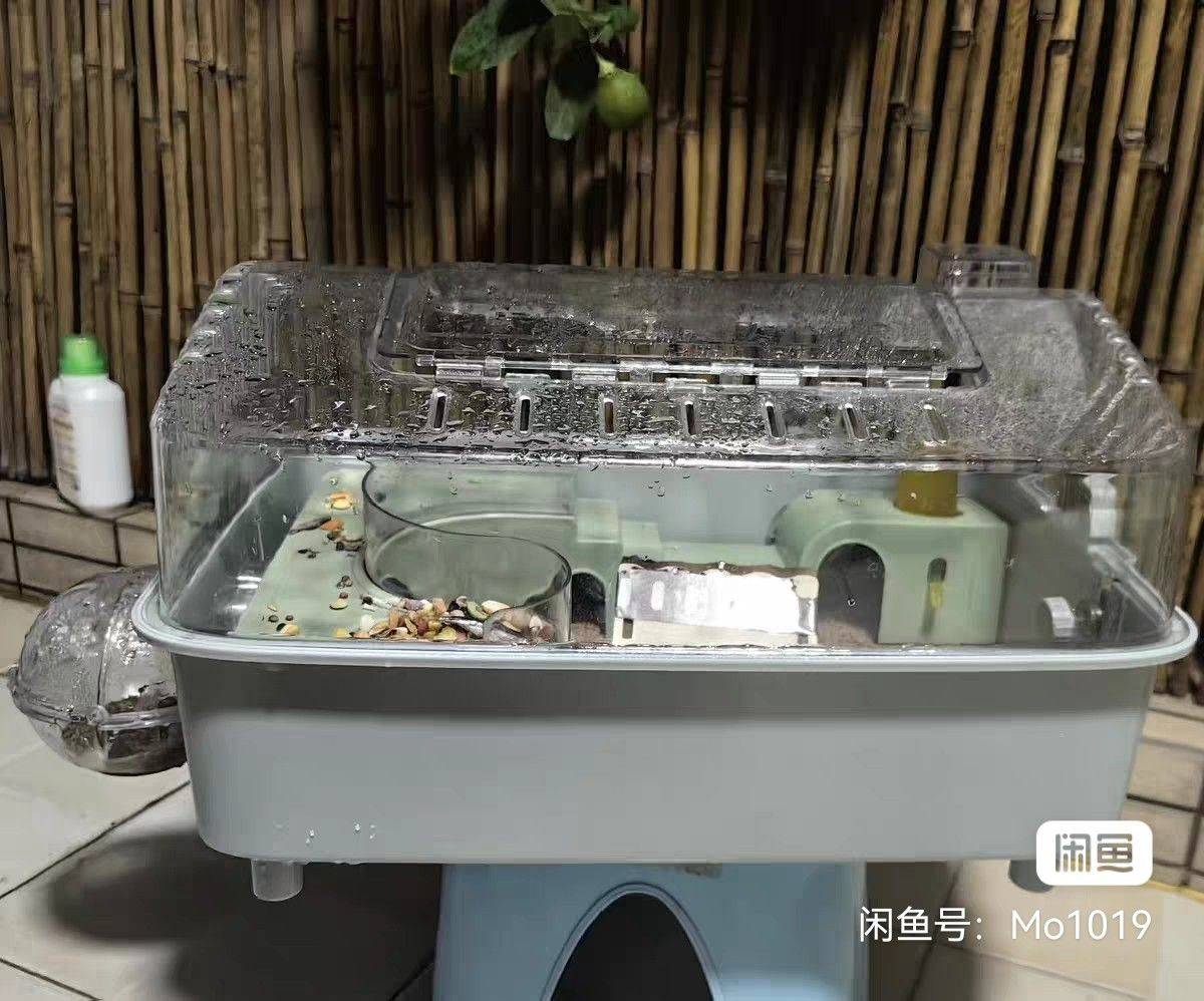 仓鼠笼子8-9成新，45自提 仓鼠之家