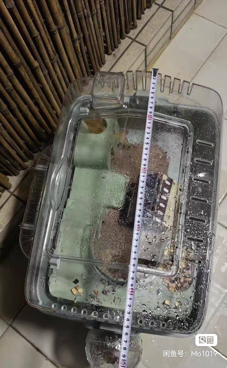 仓鼠笼子8-9成新，45自提 仓鼠之家_2