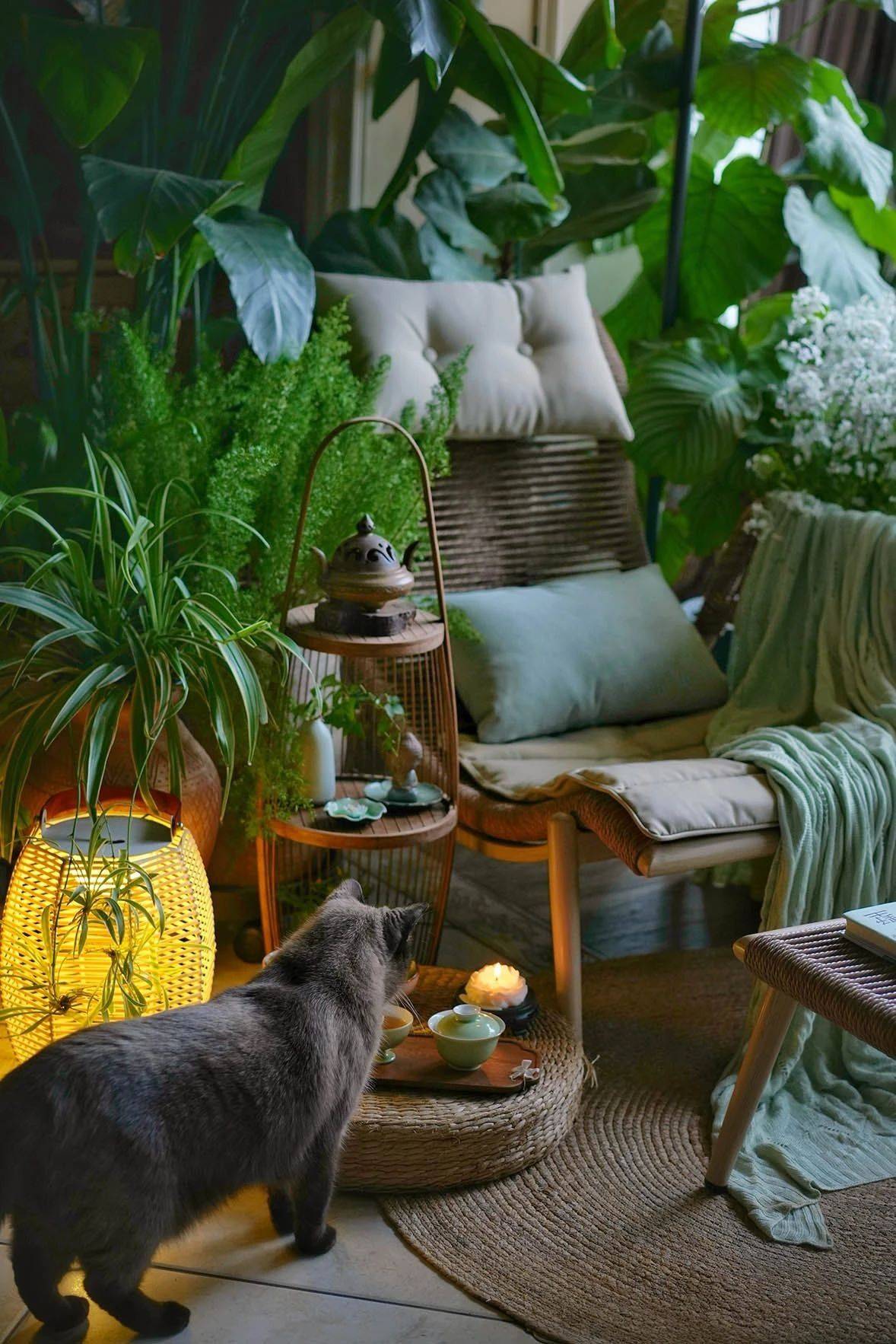 租房有温度春日小景 庭院一角 生机_1