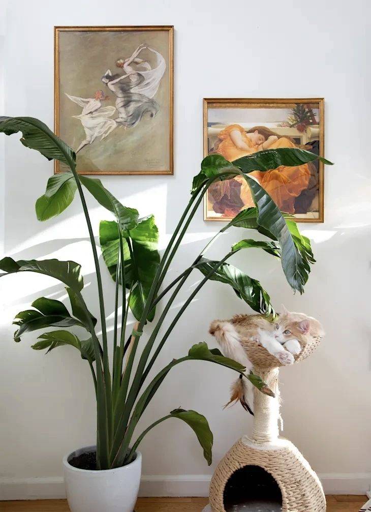 Sixtine Rouyre新作，一位年_3