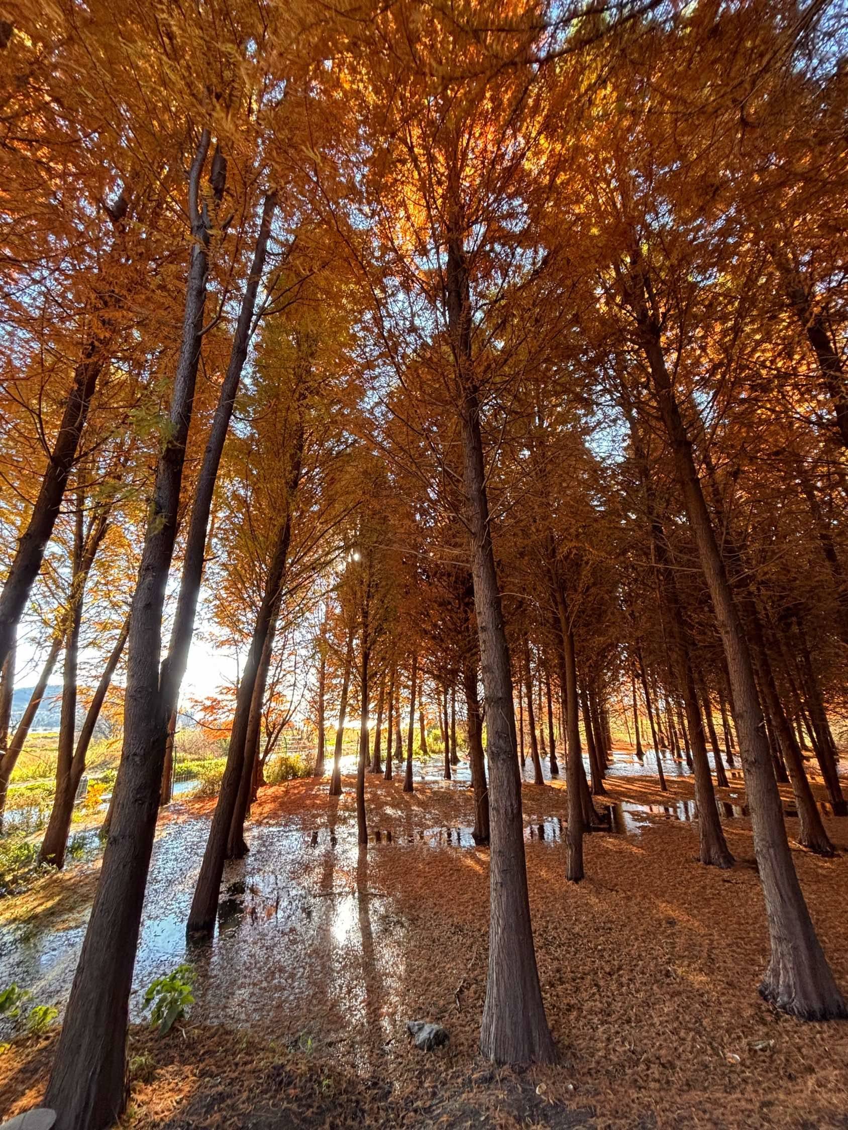 滇池湖畔日落_2