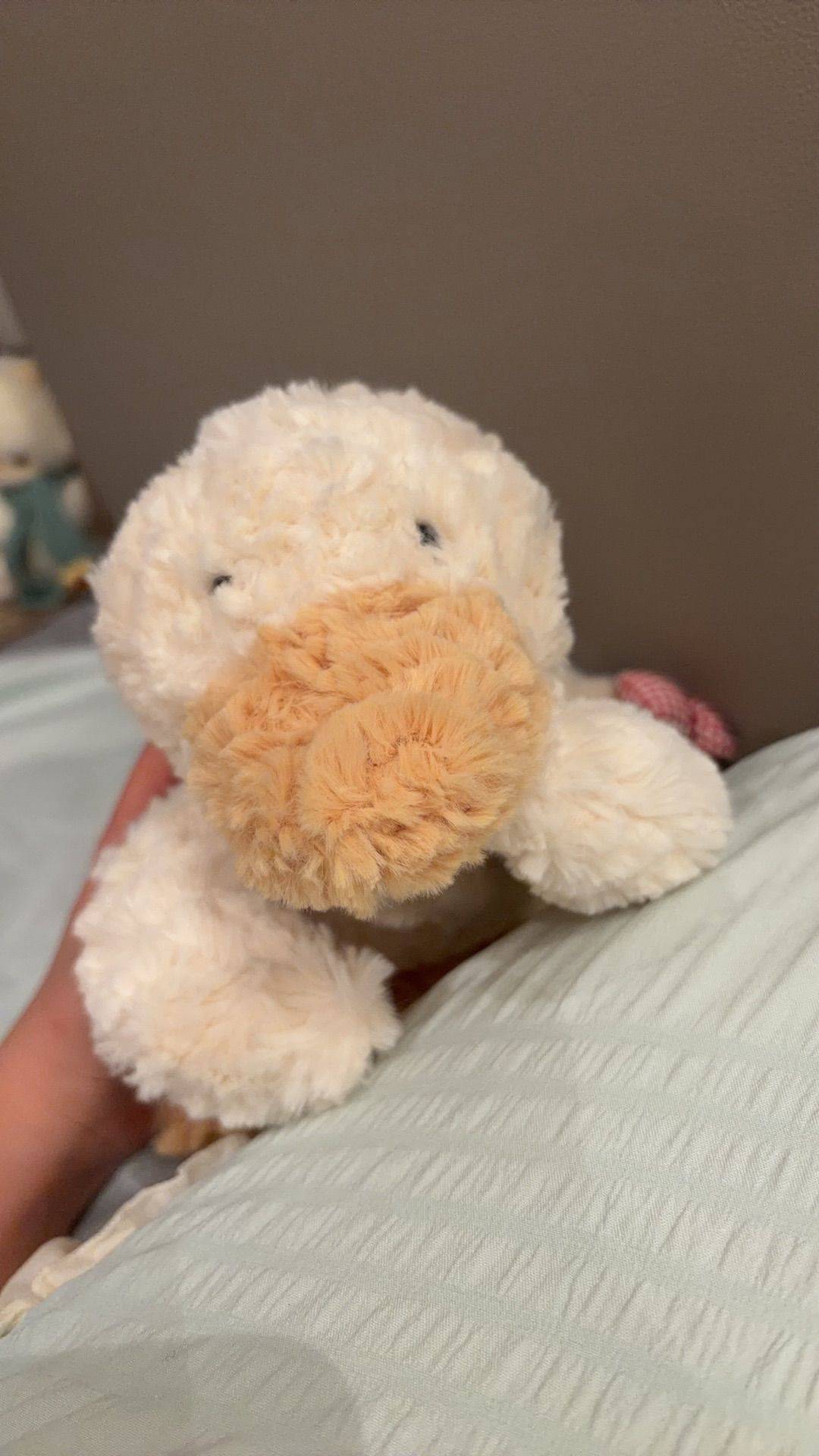 出一个丑萌丑萌的jelly cat