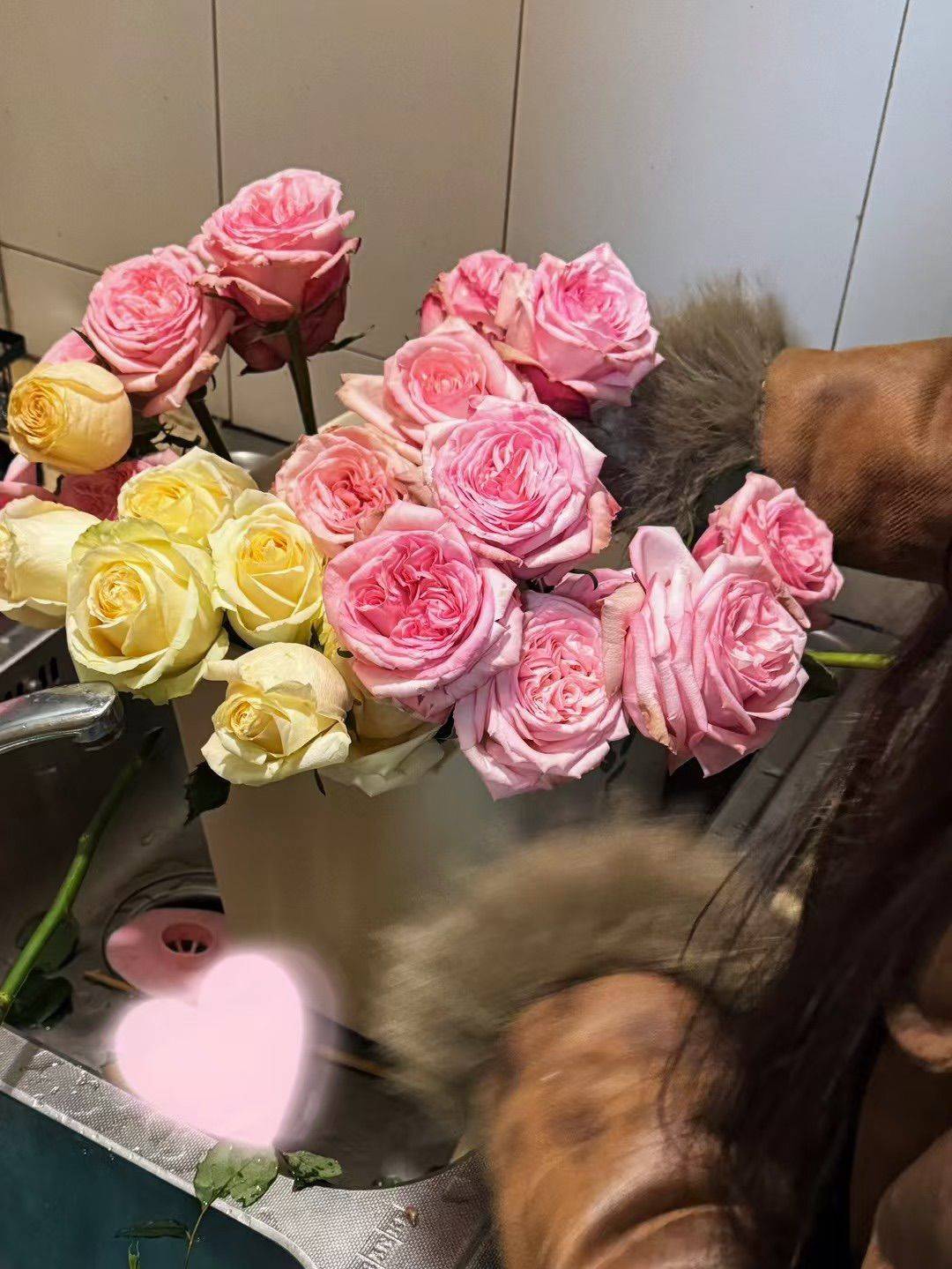 中环两室110平室友招募_1