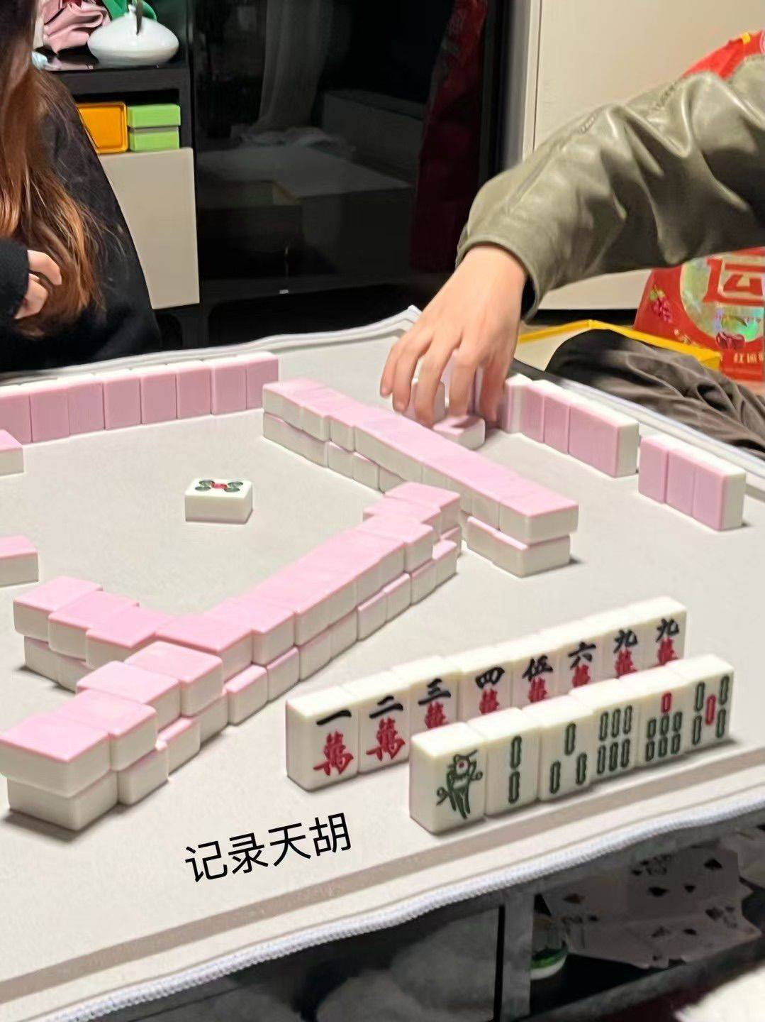 中环两室110平室友招募