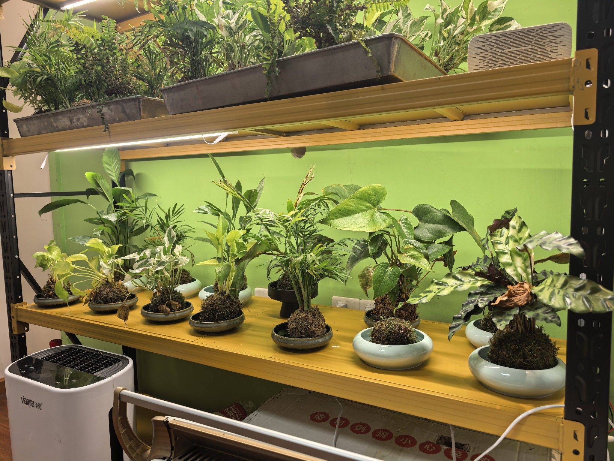 三墩附近找单间或者2室合租，求滴滴 室