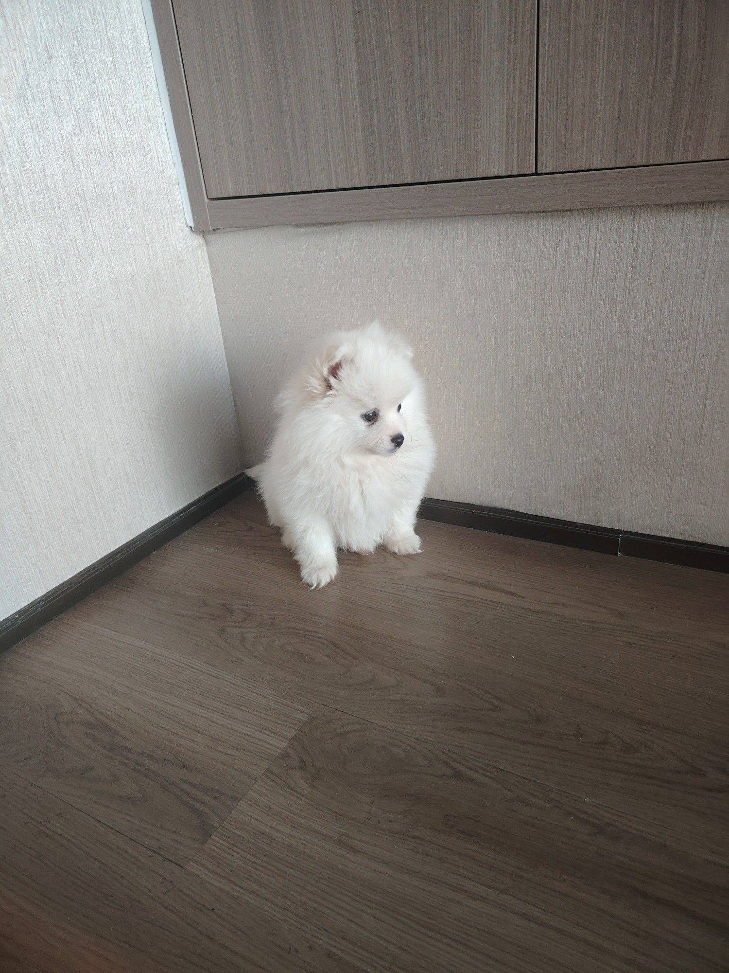  我心爱的小角落 