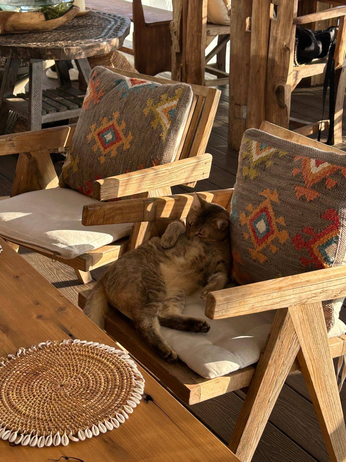 超好看的日落🌇 漫步大自然  庭院散_2