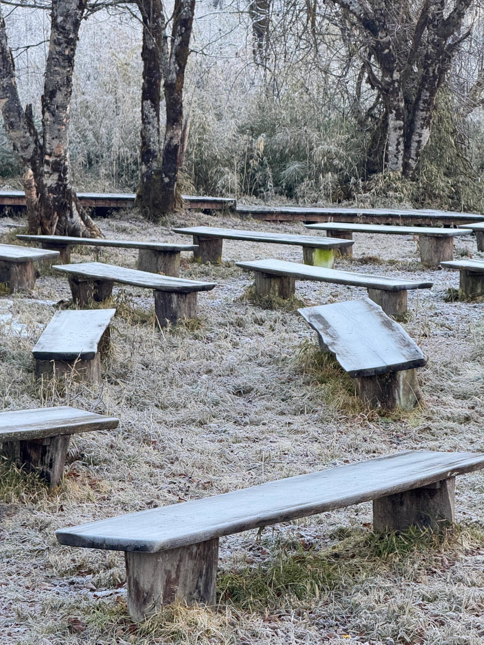 是白雪皑皑的冬天❄️_1