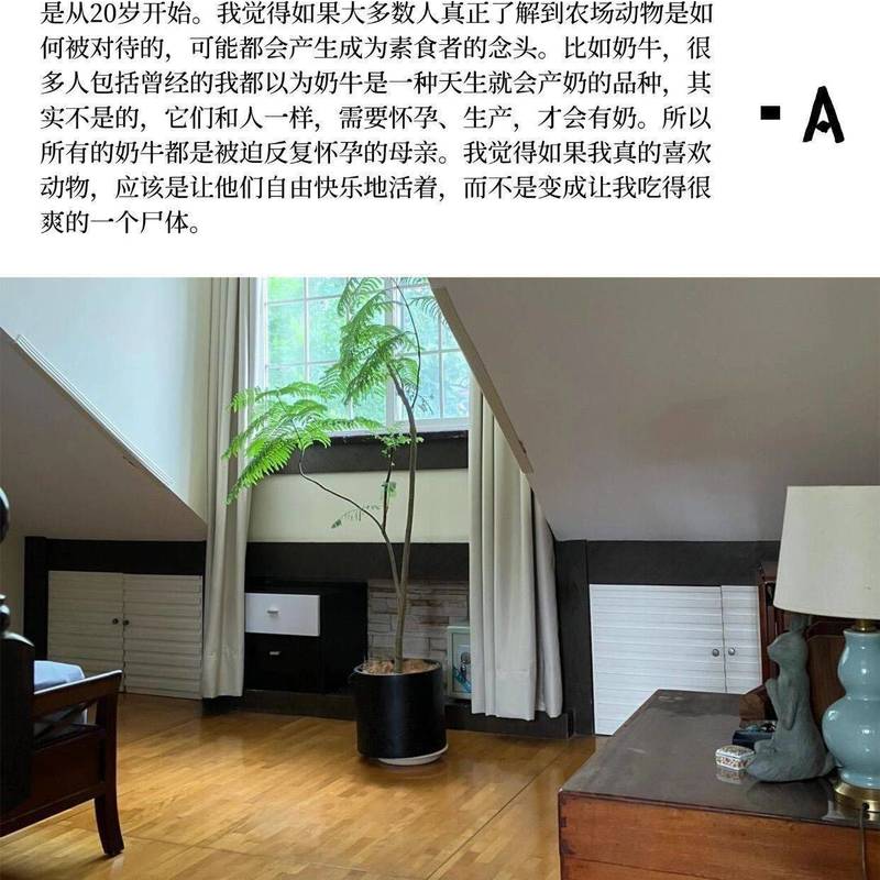 她在老洋房里过一种“可持续”上瘾的生活_1