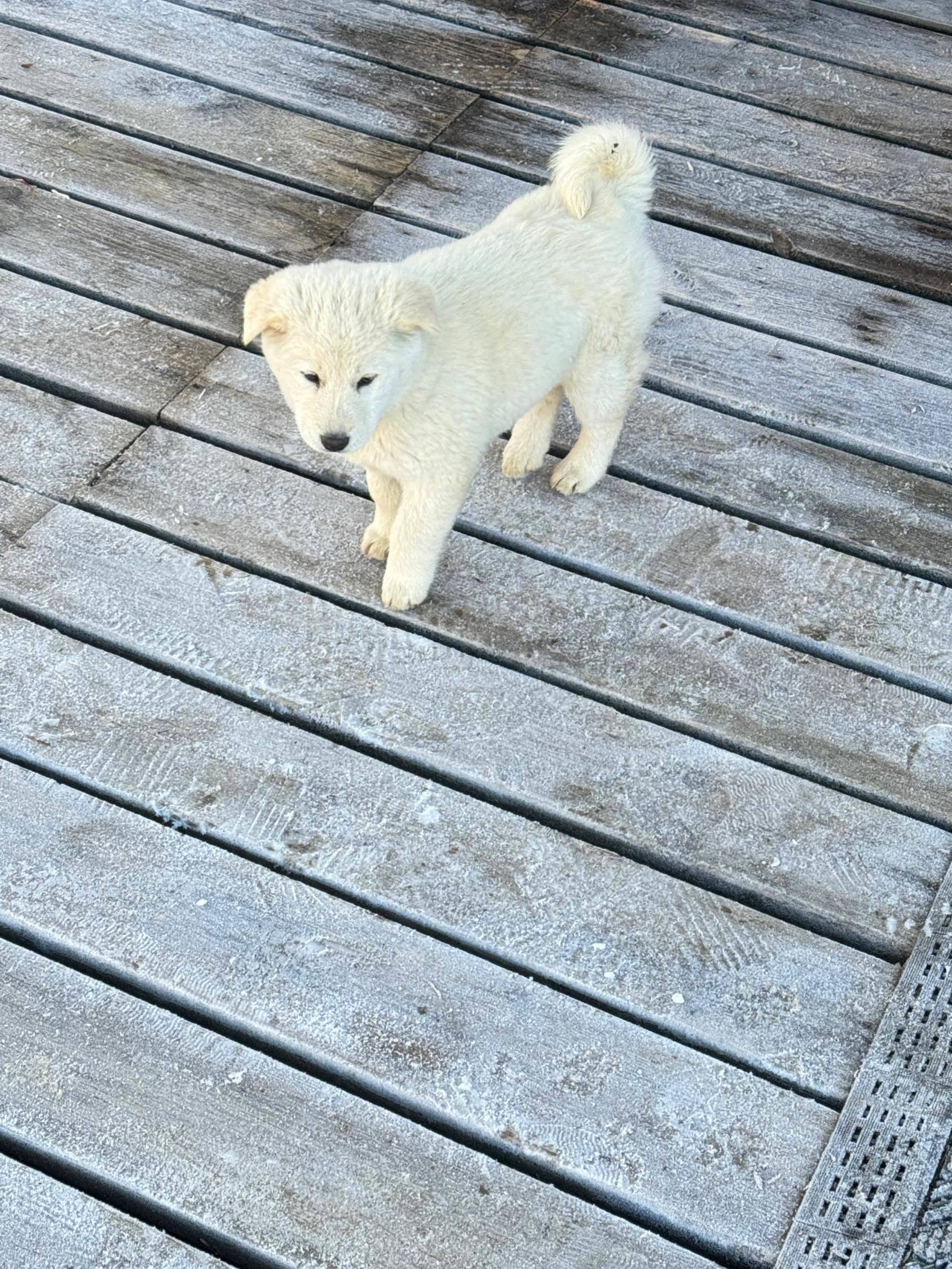 是白雪皑皑的冬天❄️
