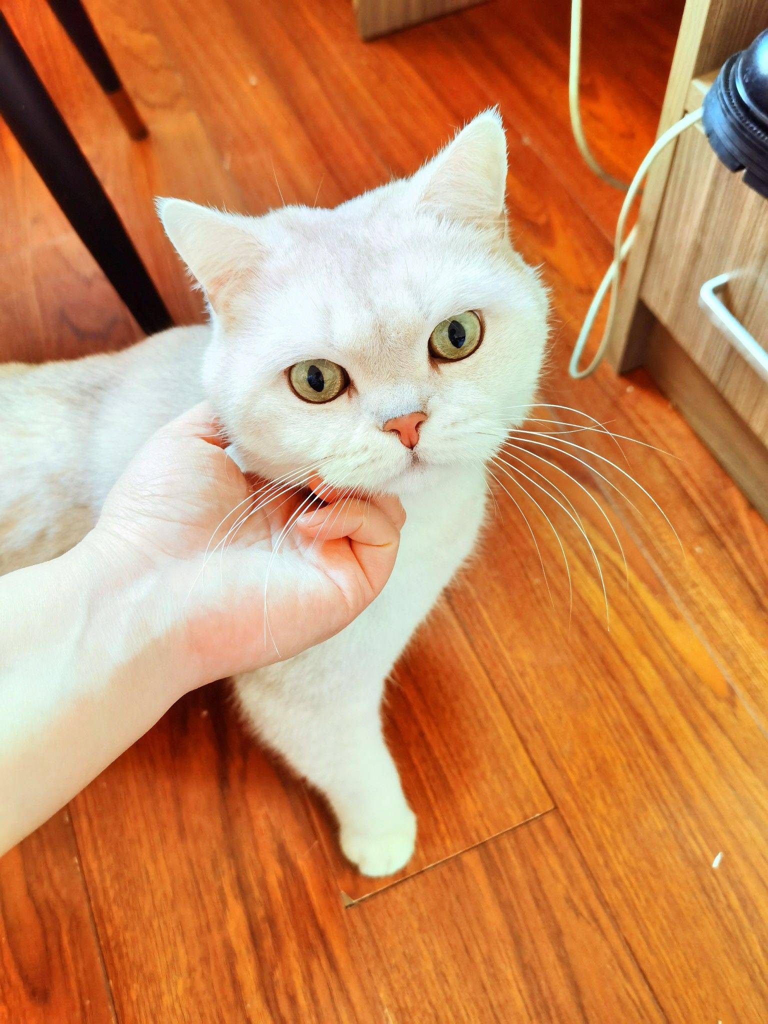 北京国展地铁，有房，求个女舍友！