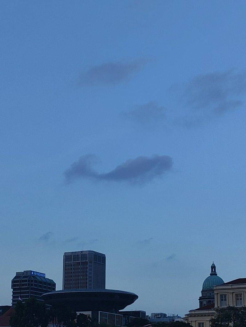 这片云像不像鲸鱼?