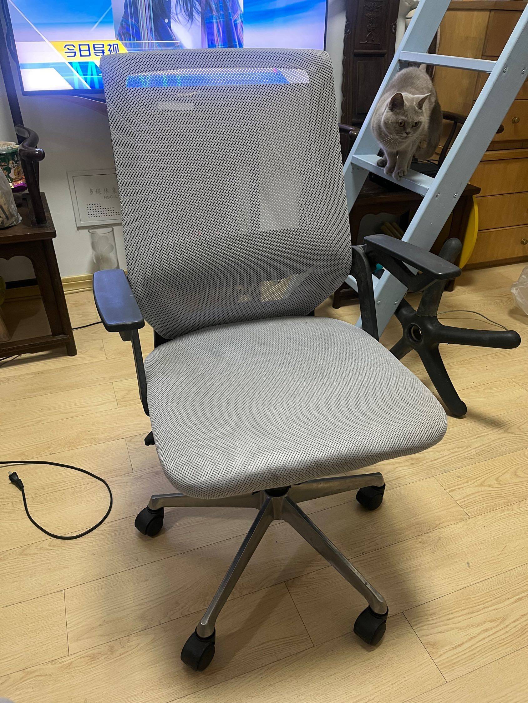 电脑办公椅，可升降移动，扶手可调80元_1