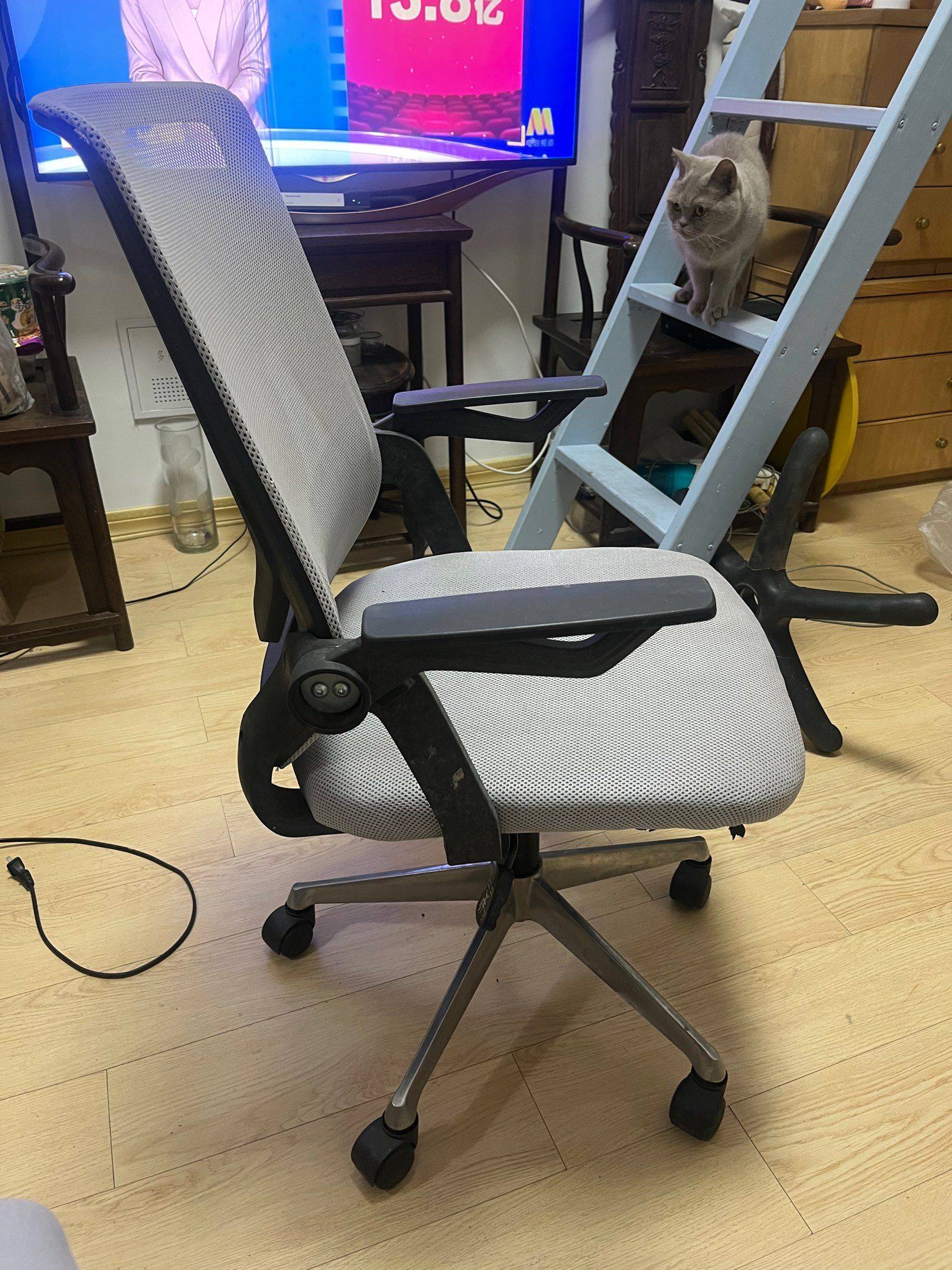 电脑办公椅，可升降移动，扶手可调80元_2