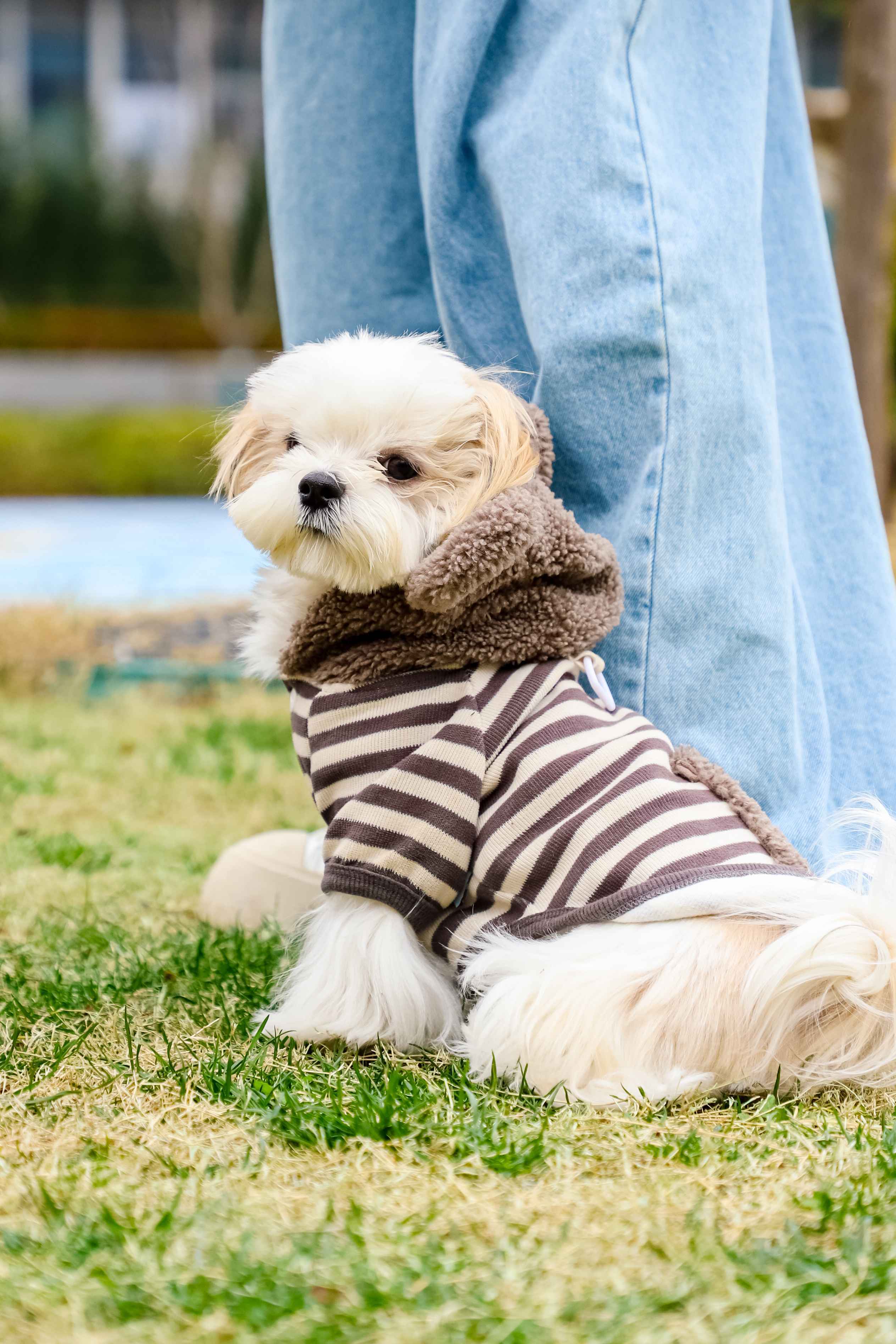 给宝宝找个户外搭子_1