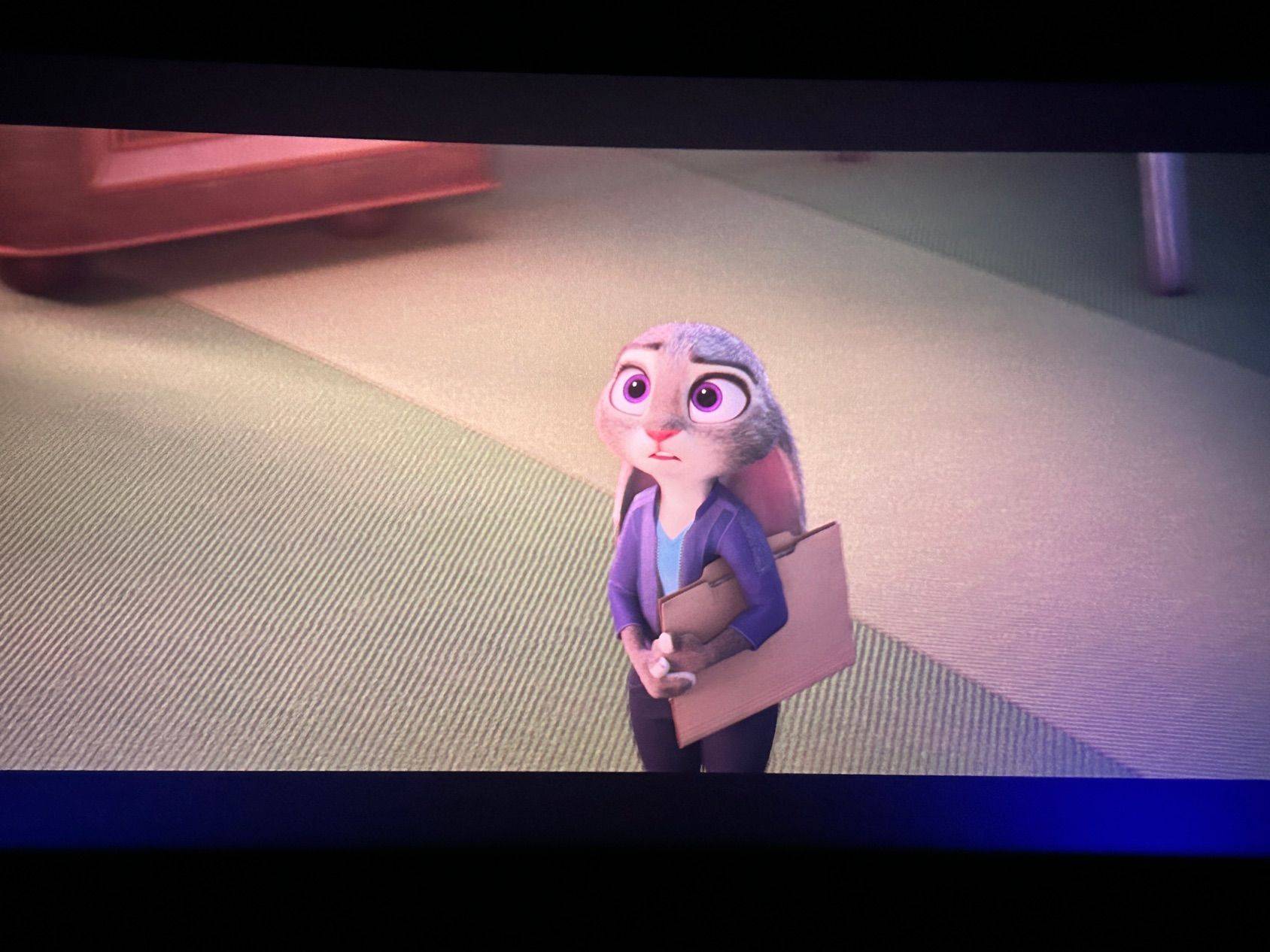 哈哈哈哈可爱的搭档，和我的上班搭子一样_1