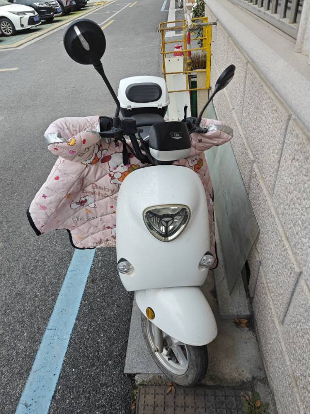 雅迪DM1九成新国标电动自行车，回老家不_1