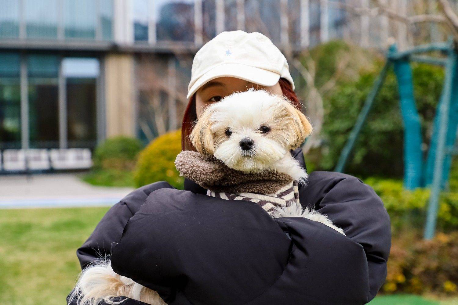 给宝宝找个户外搭子