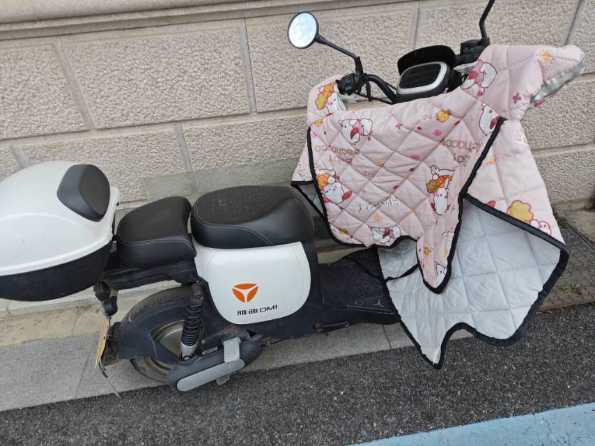 雅迪DM1九成新国标电动自行车，回老家不