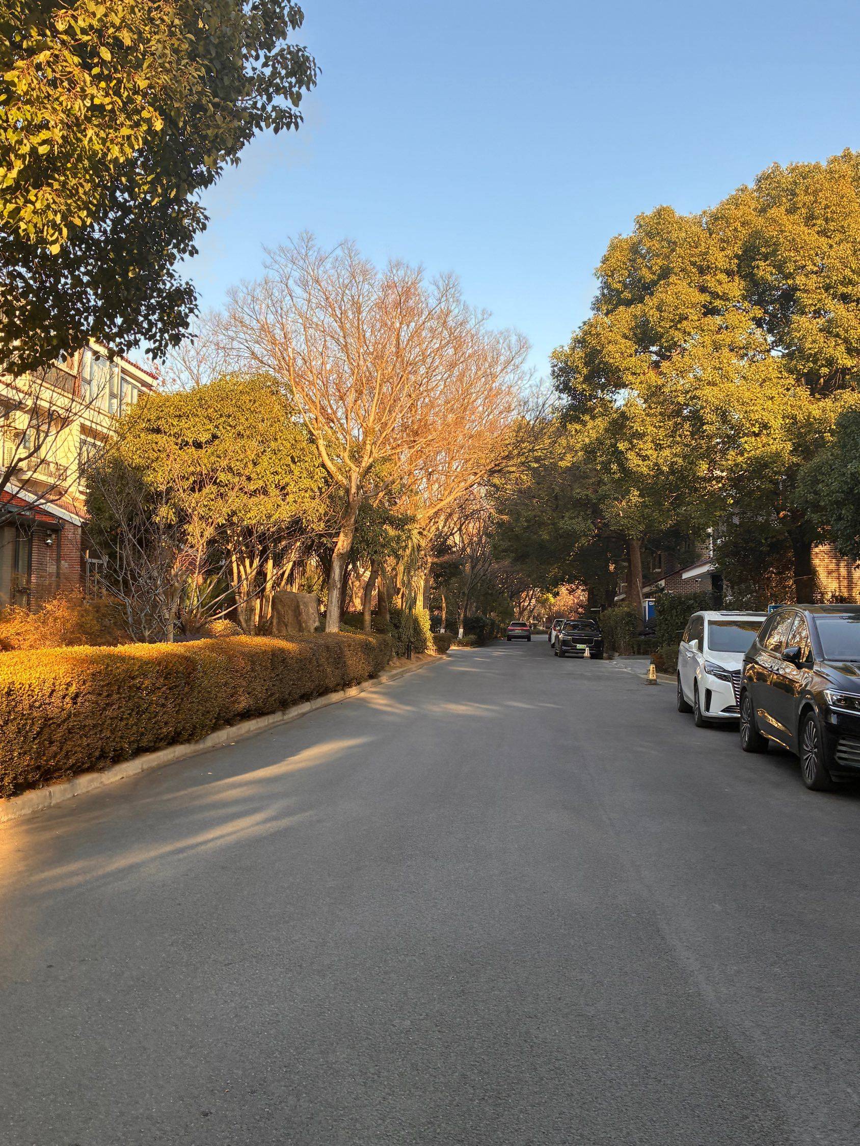 超棒小区 寻找室友！_1