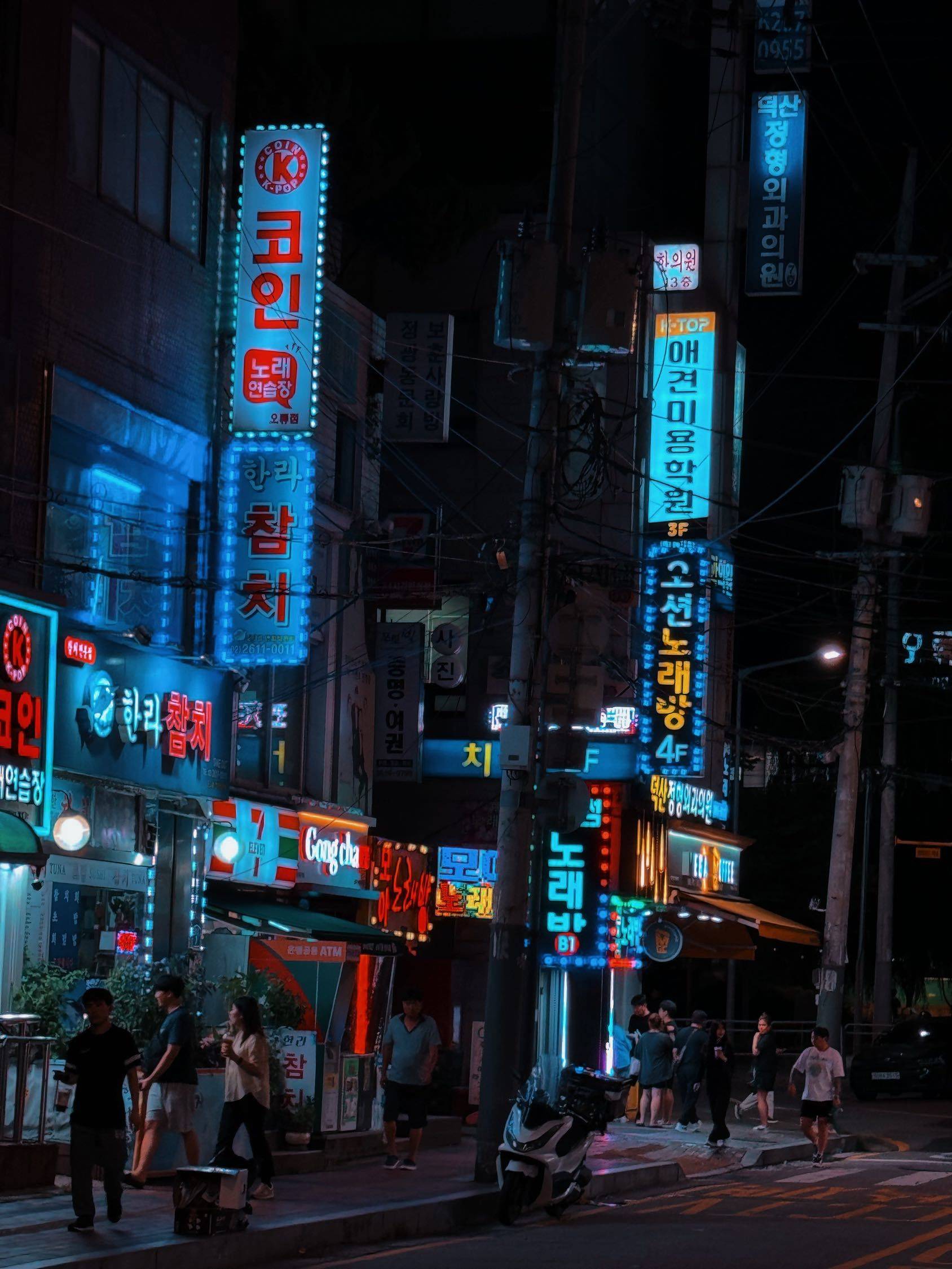 好玩 想玩明年还来 城市风光  旅行_1