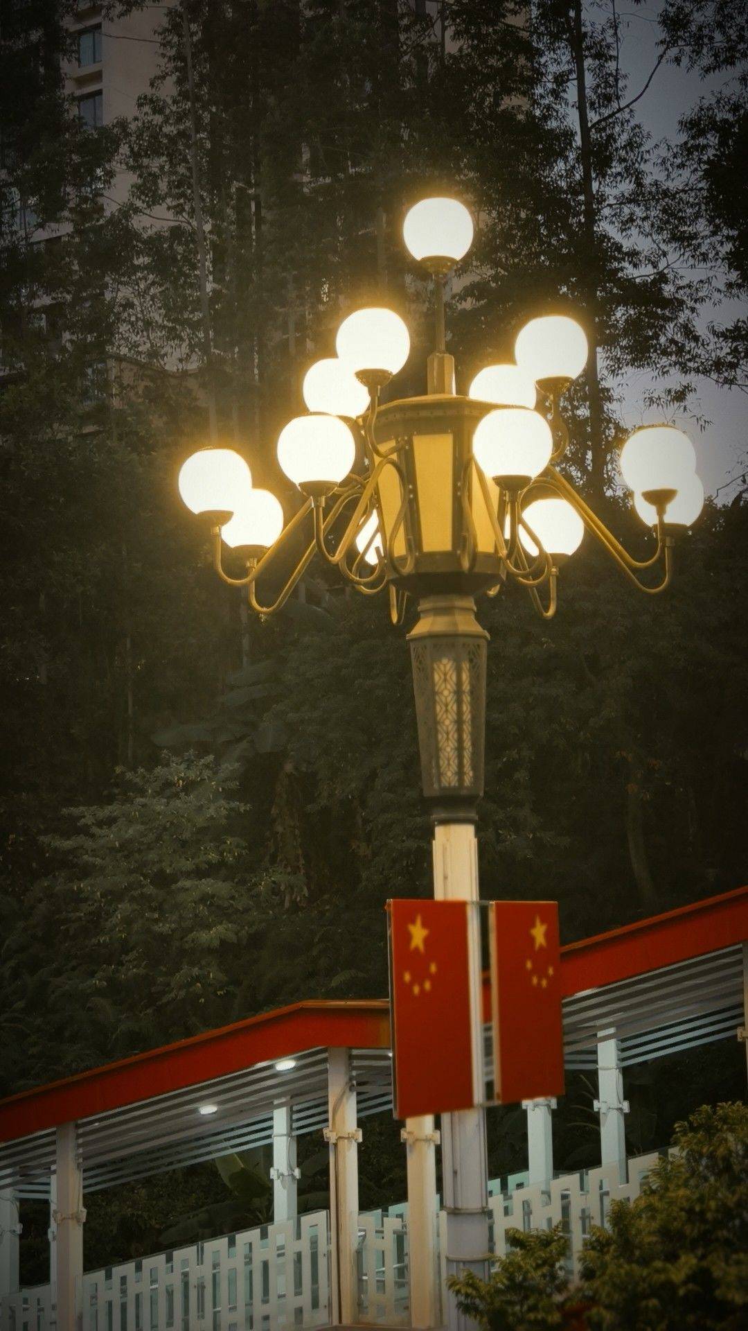 蹲个靠谱女室友