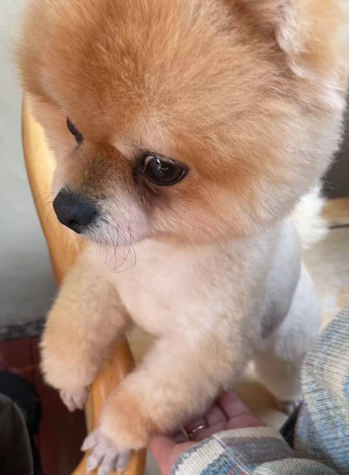 杭州优质房出租