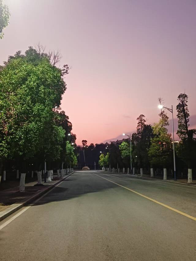 好想每天都像吃了菌子一样开心_2