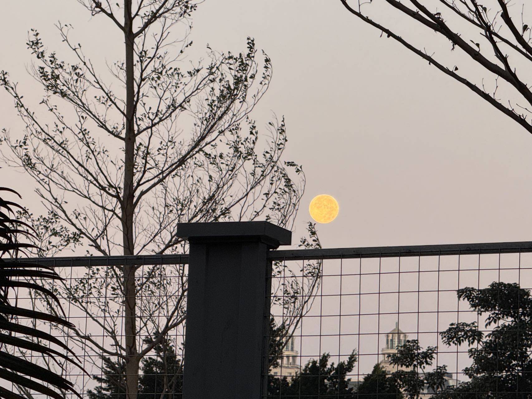 前海壹方城租房