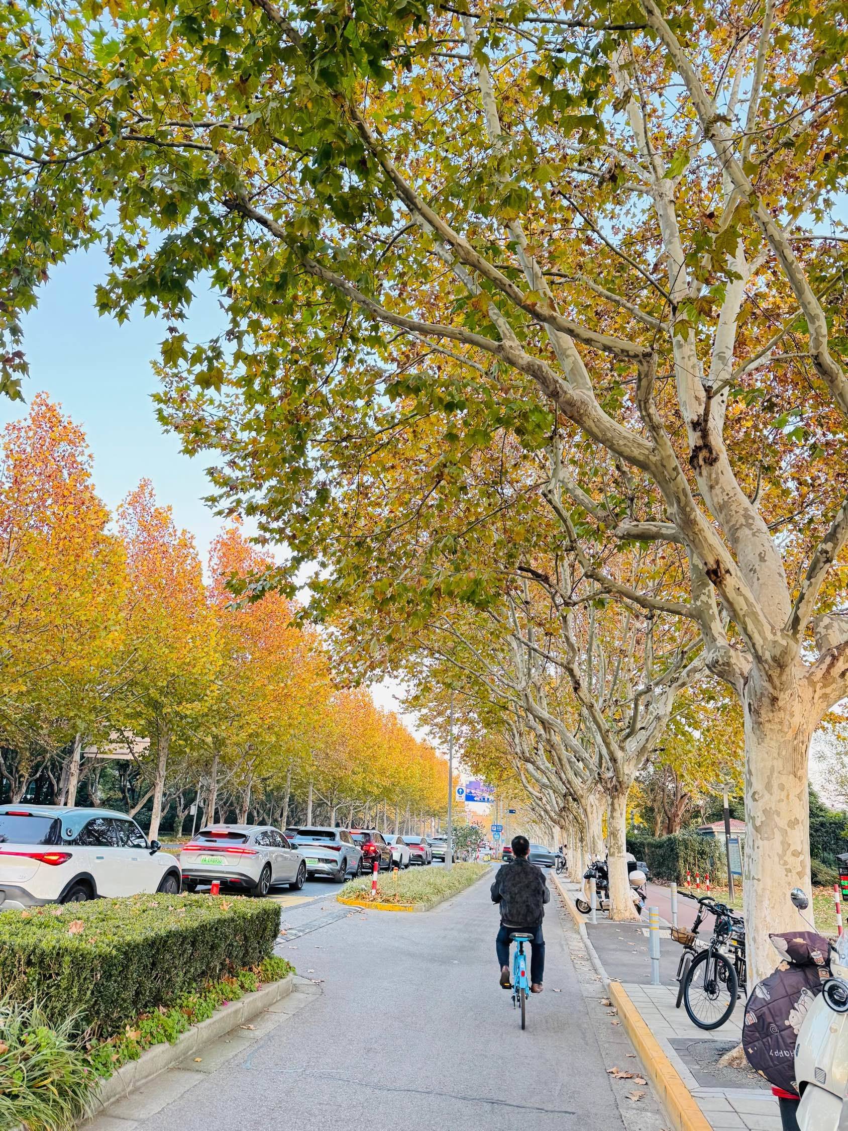 世纪公园附近找室友_1