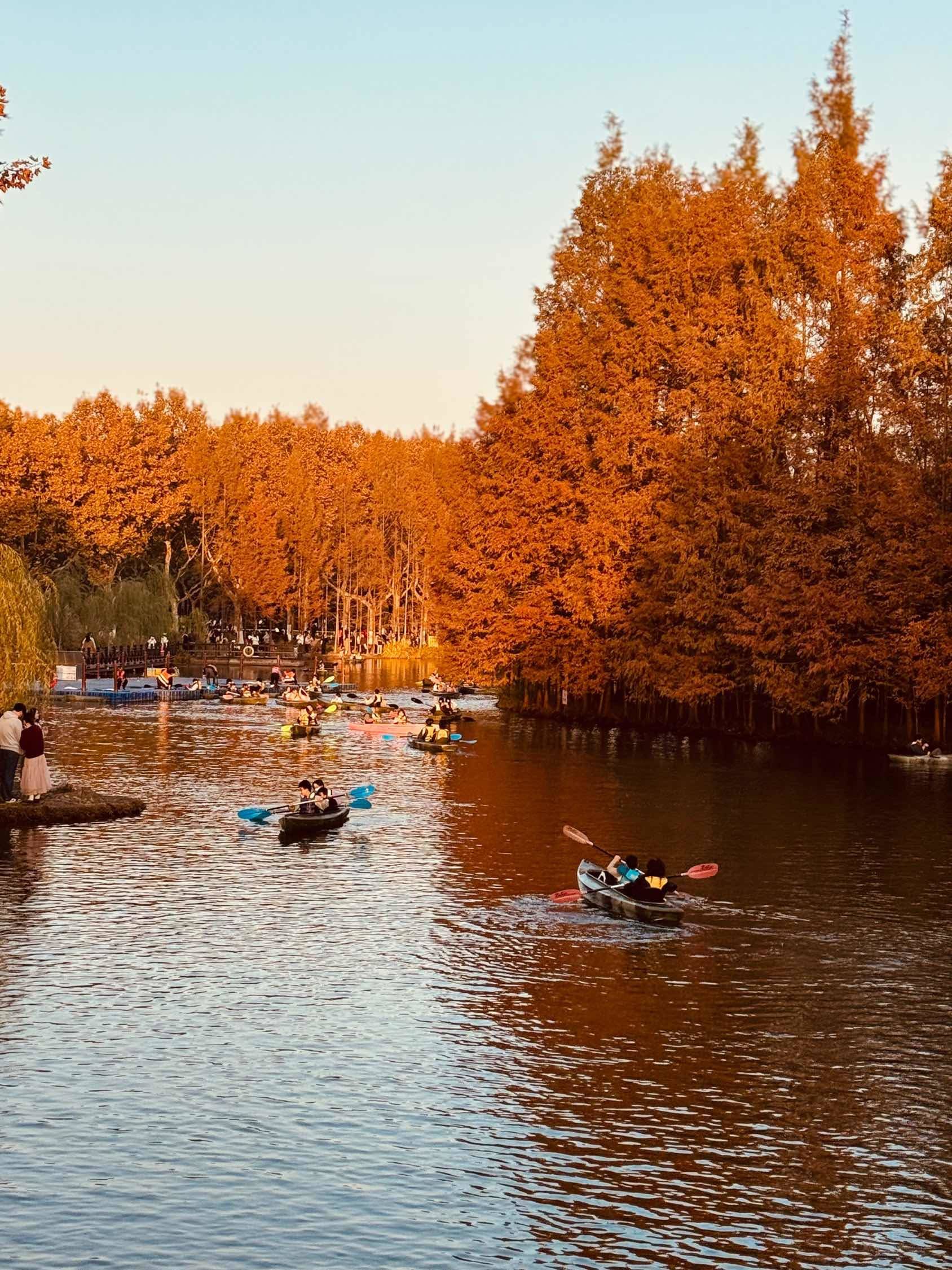 世纪公园附近找室友_2