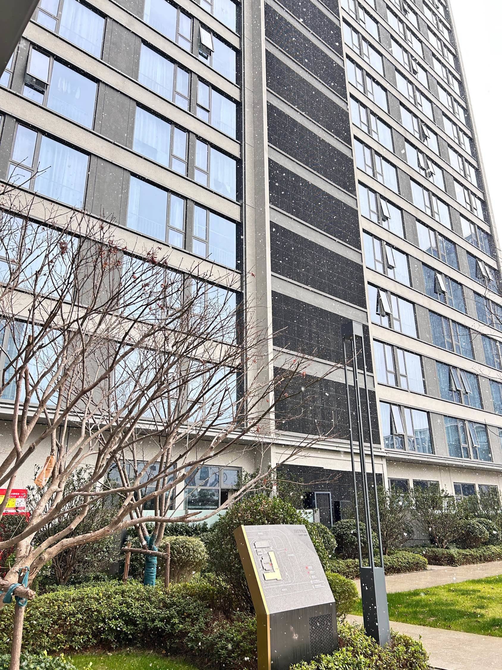 小院的雪景，雪一片一片落下_1