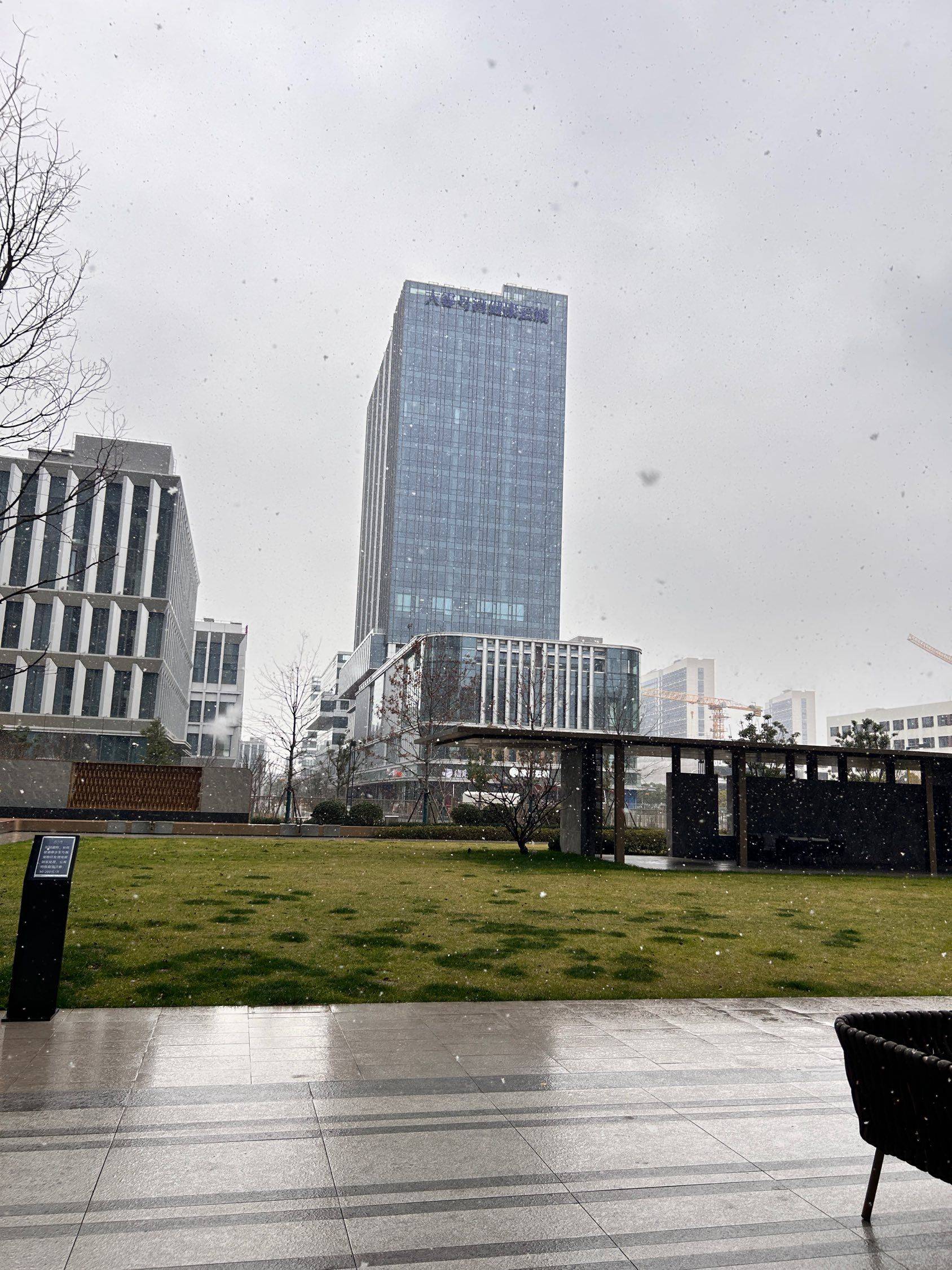 小院的雪景，雪一片一片落下_3