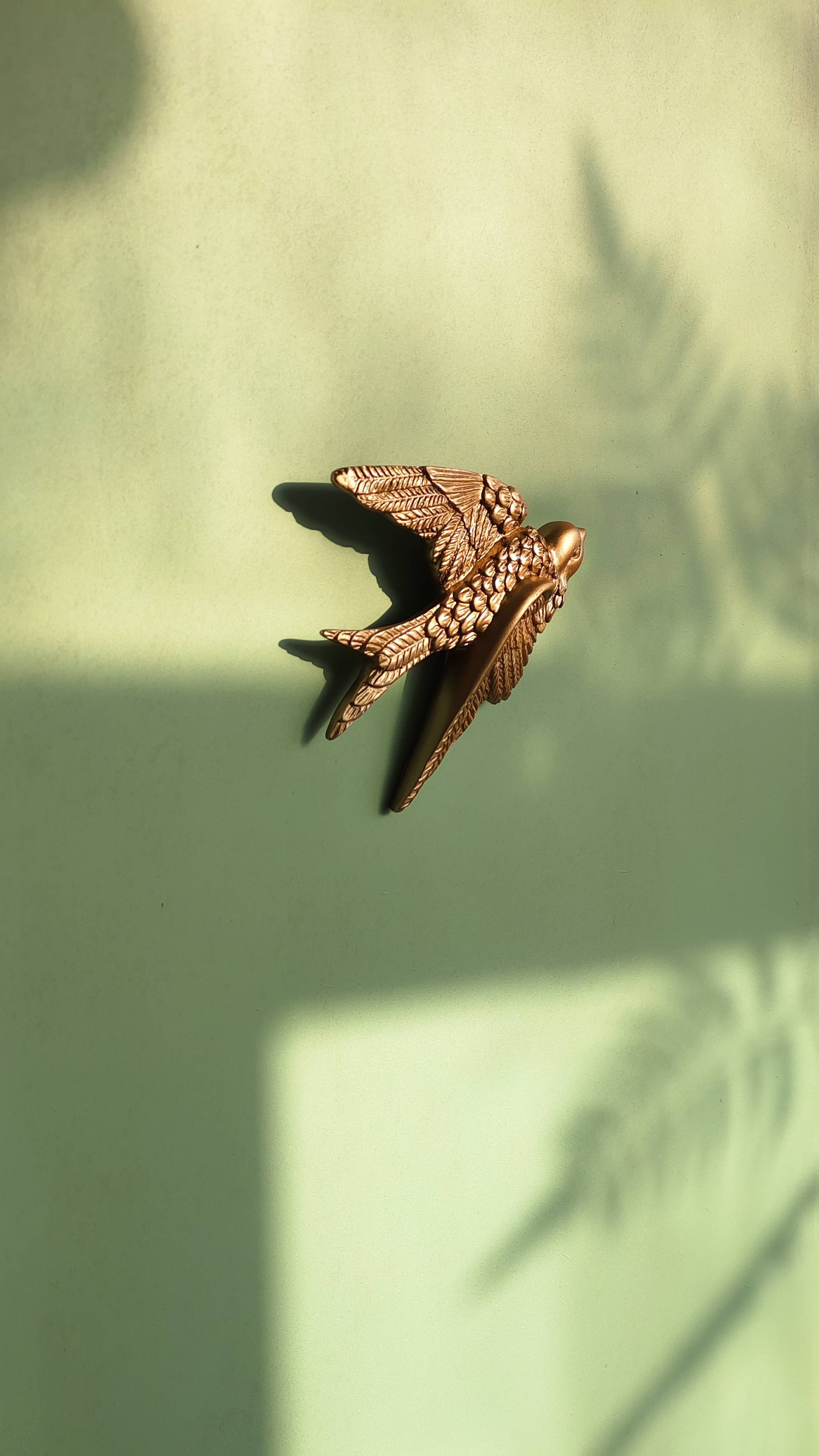 哈尔滨一厅一室阳光治愈小屋出租_4