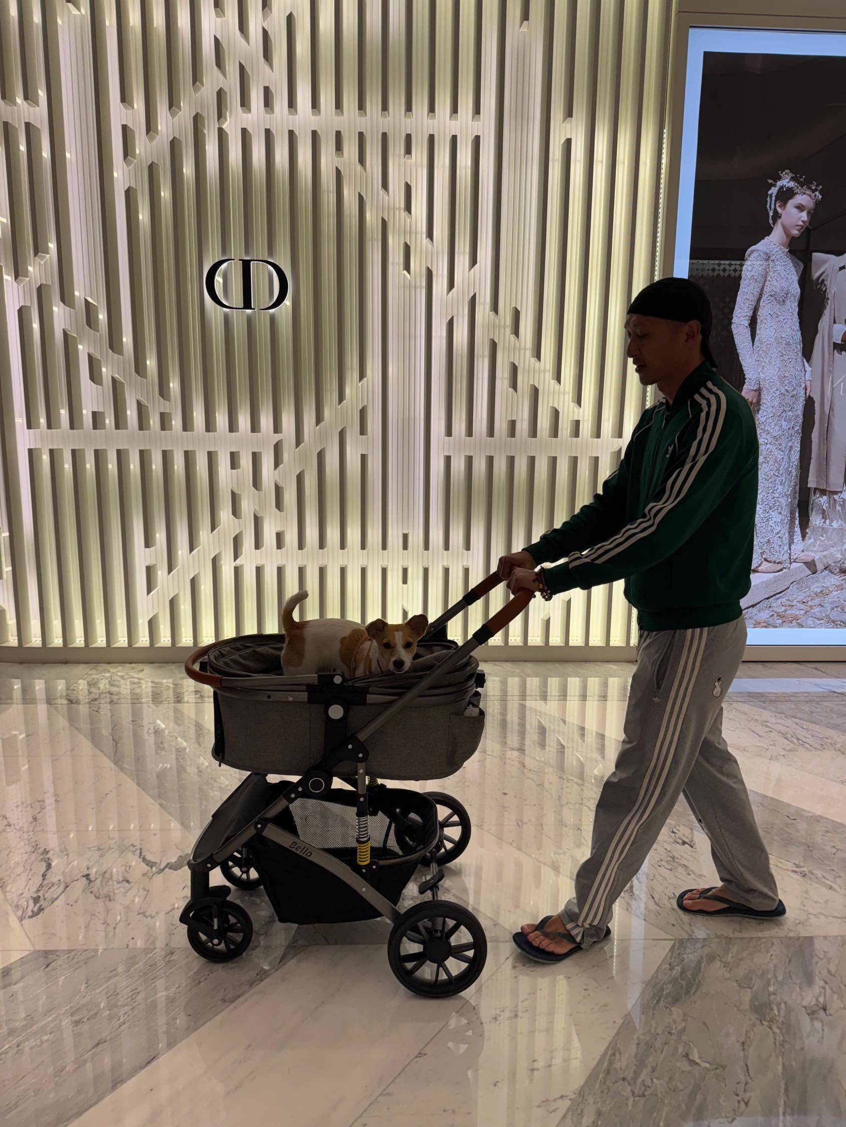 深圳的神仙房东