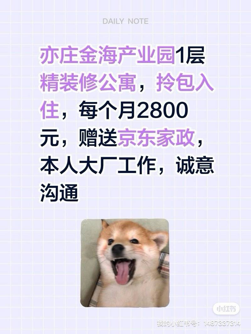 每天发一发