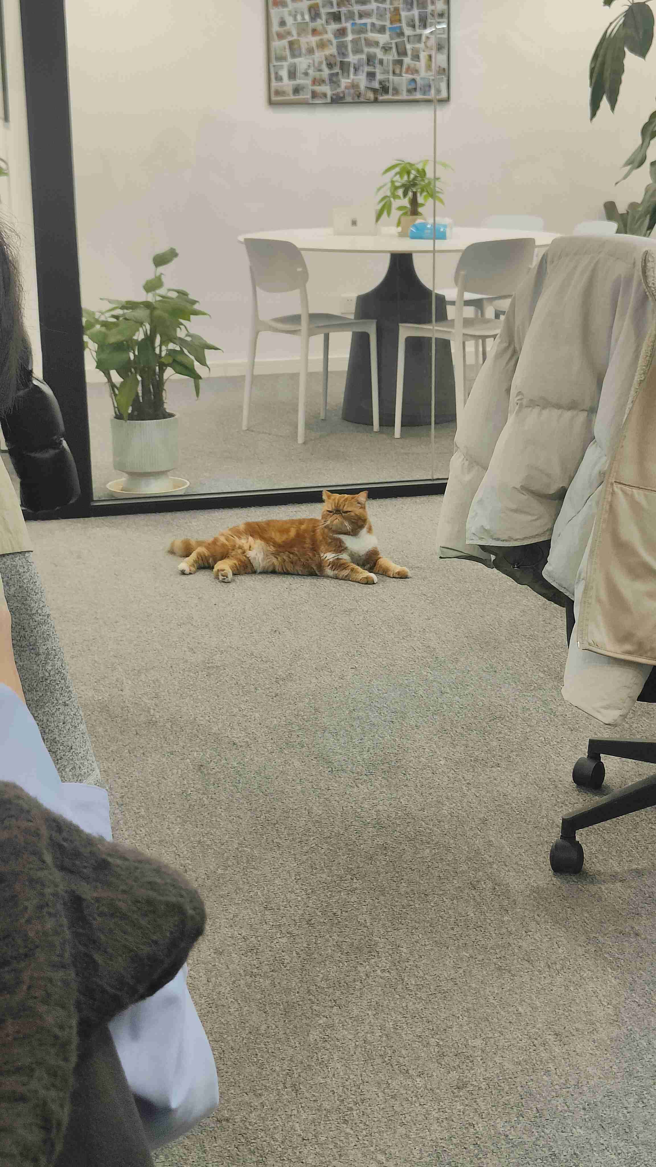 报告！这个员工在摸鱼儿