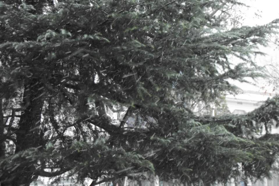 冬天就是最适合火锅和甜品的季节_2