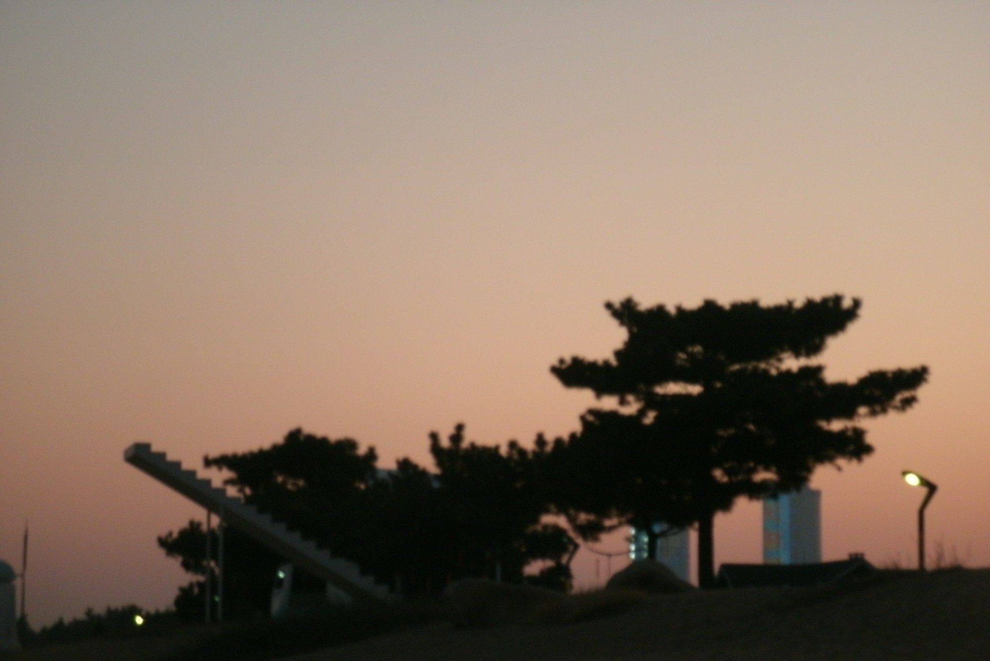 日照海边伴黄昏漫步_3