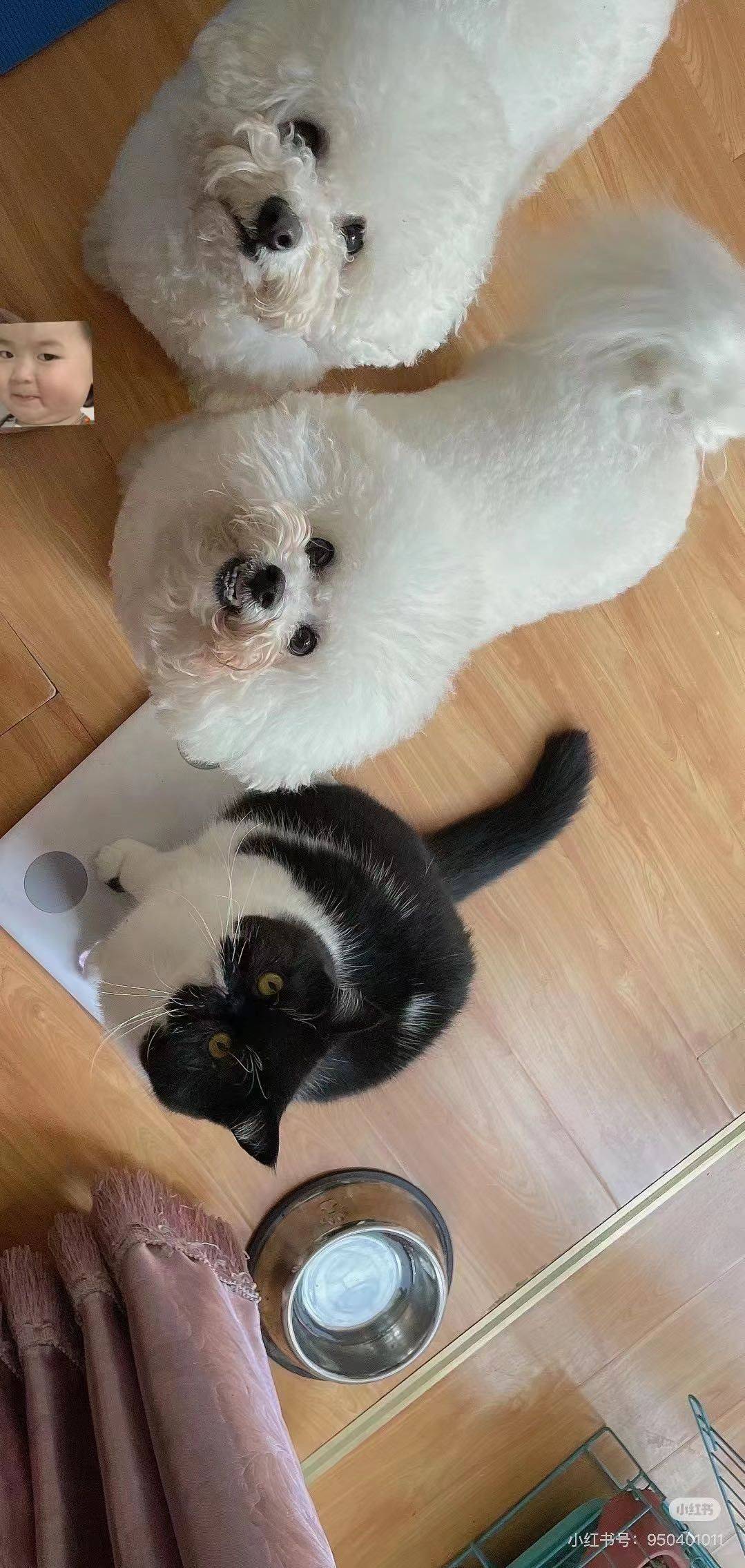 莲花南路找舍友