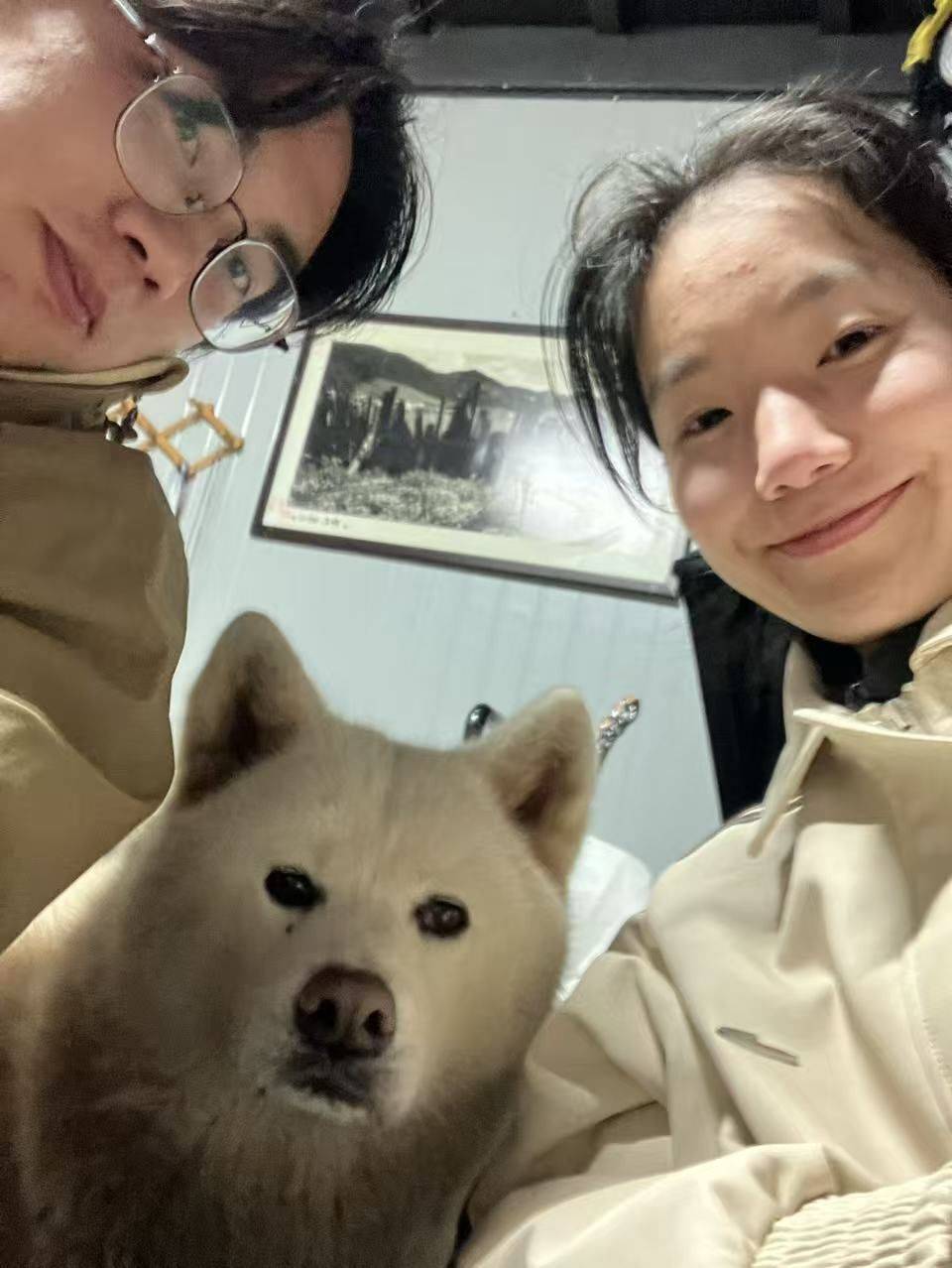 它的智商确实挺高 竹影  静谧时刻 