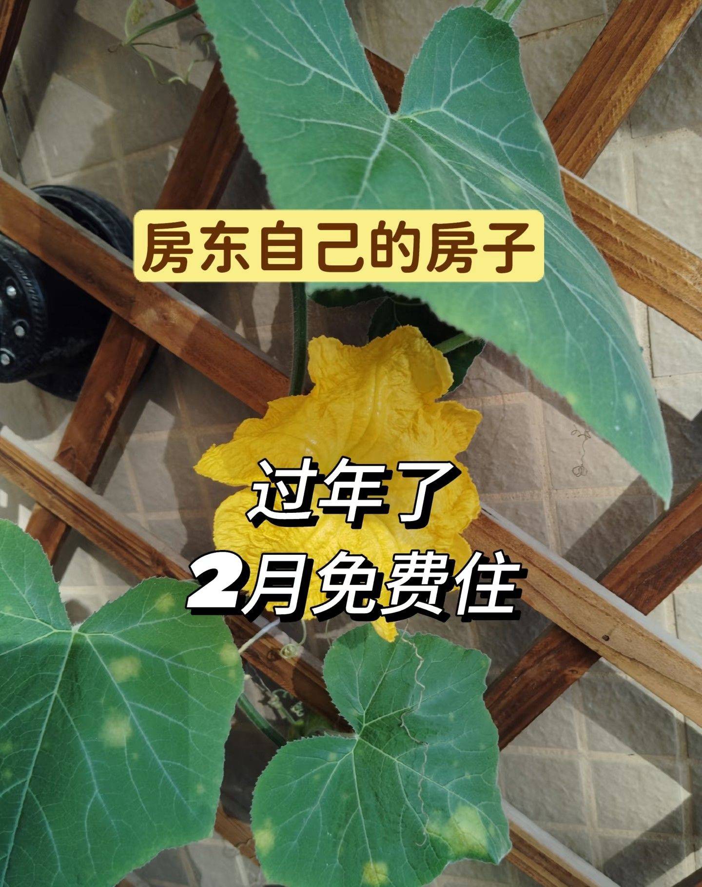 来了就是家人，欢迎来我家过年。