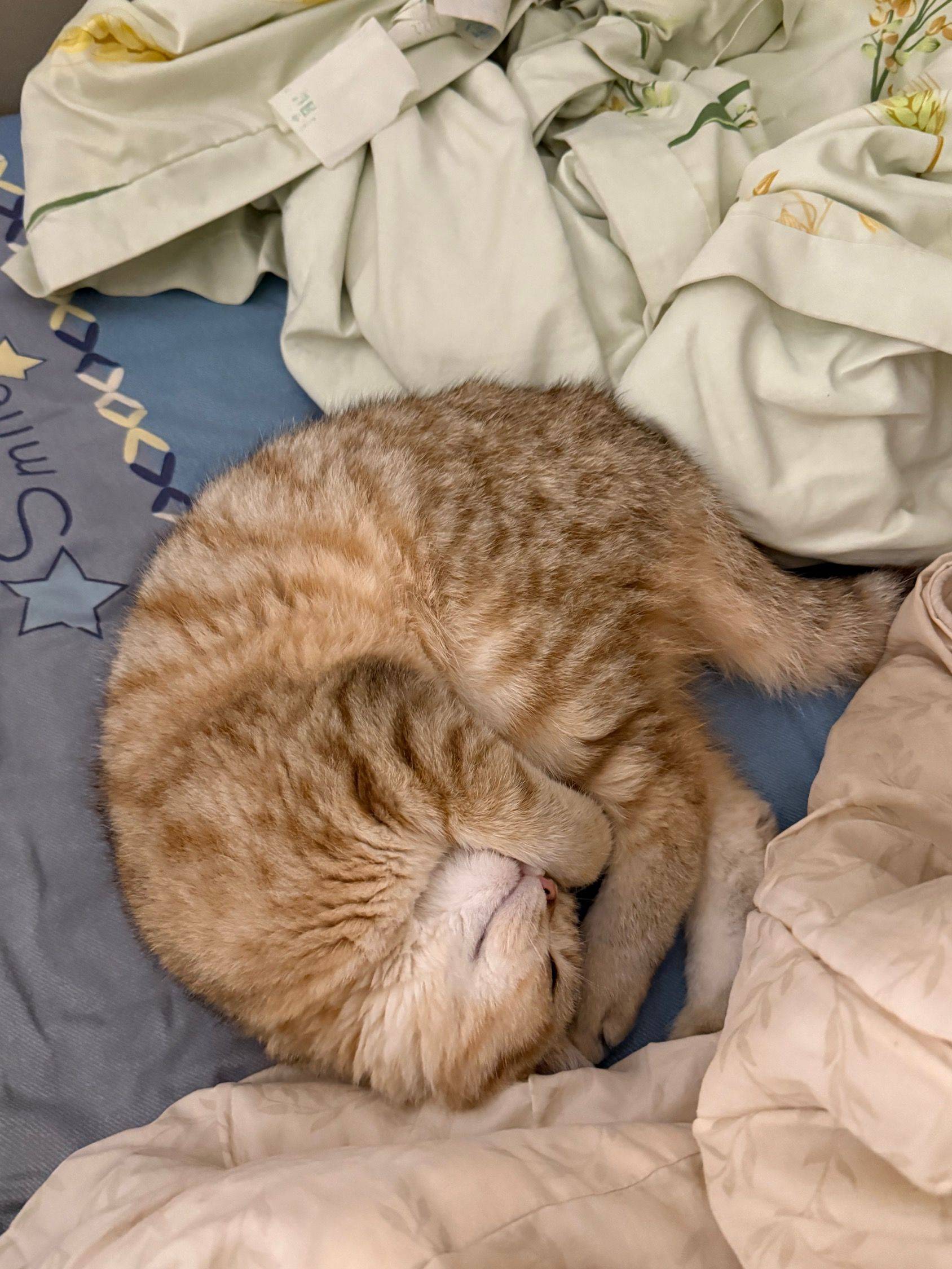 广州天河龙洞一房一厅转租求租