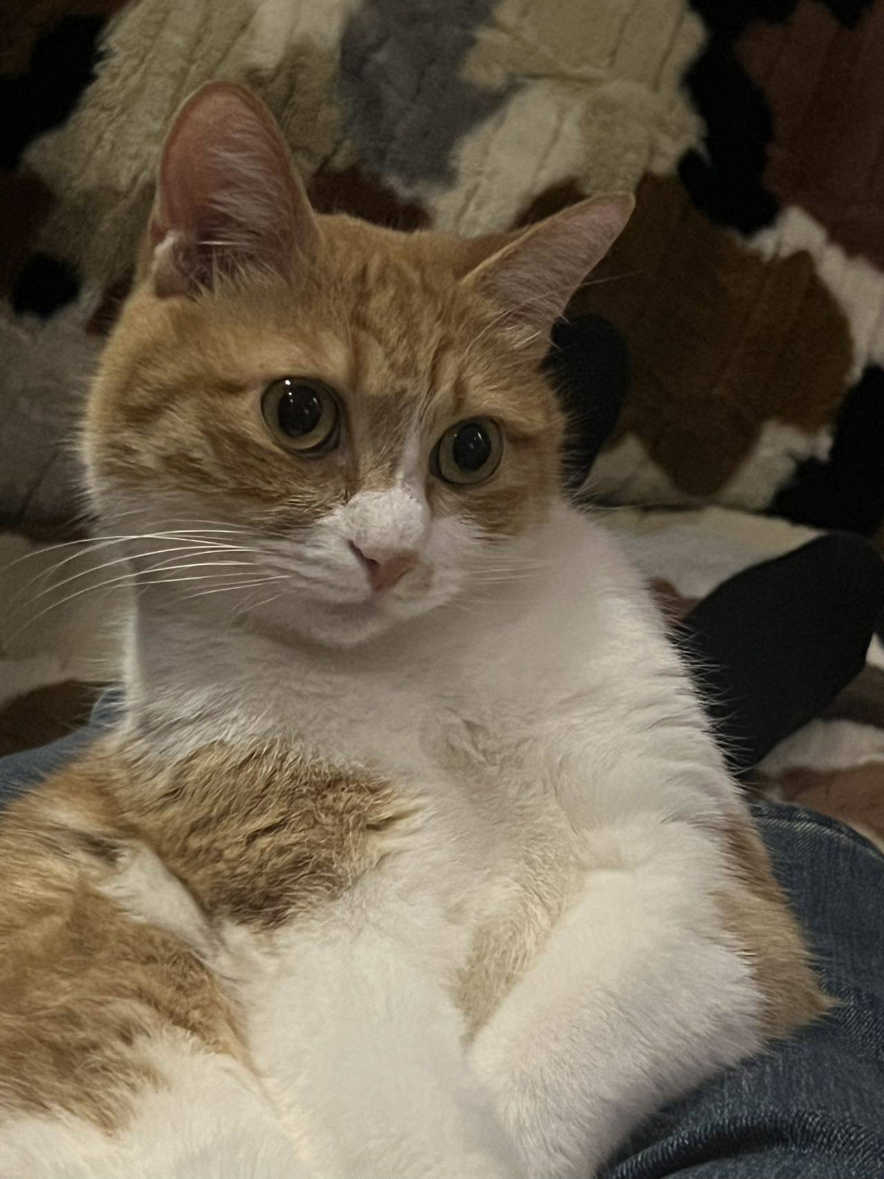 要过年啦这么委屈巴巴的干啥_2