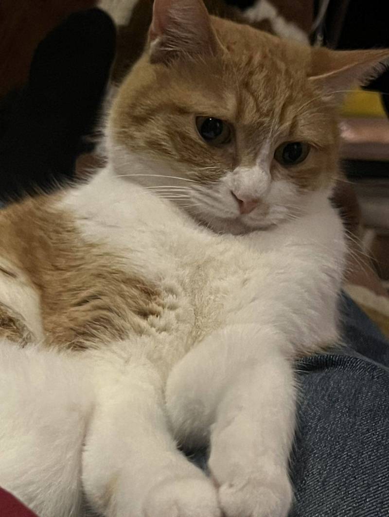 要过年啦这么委屈巴巴的干啥