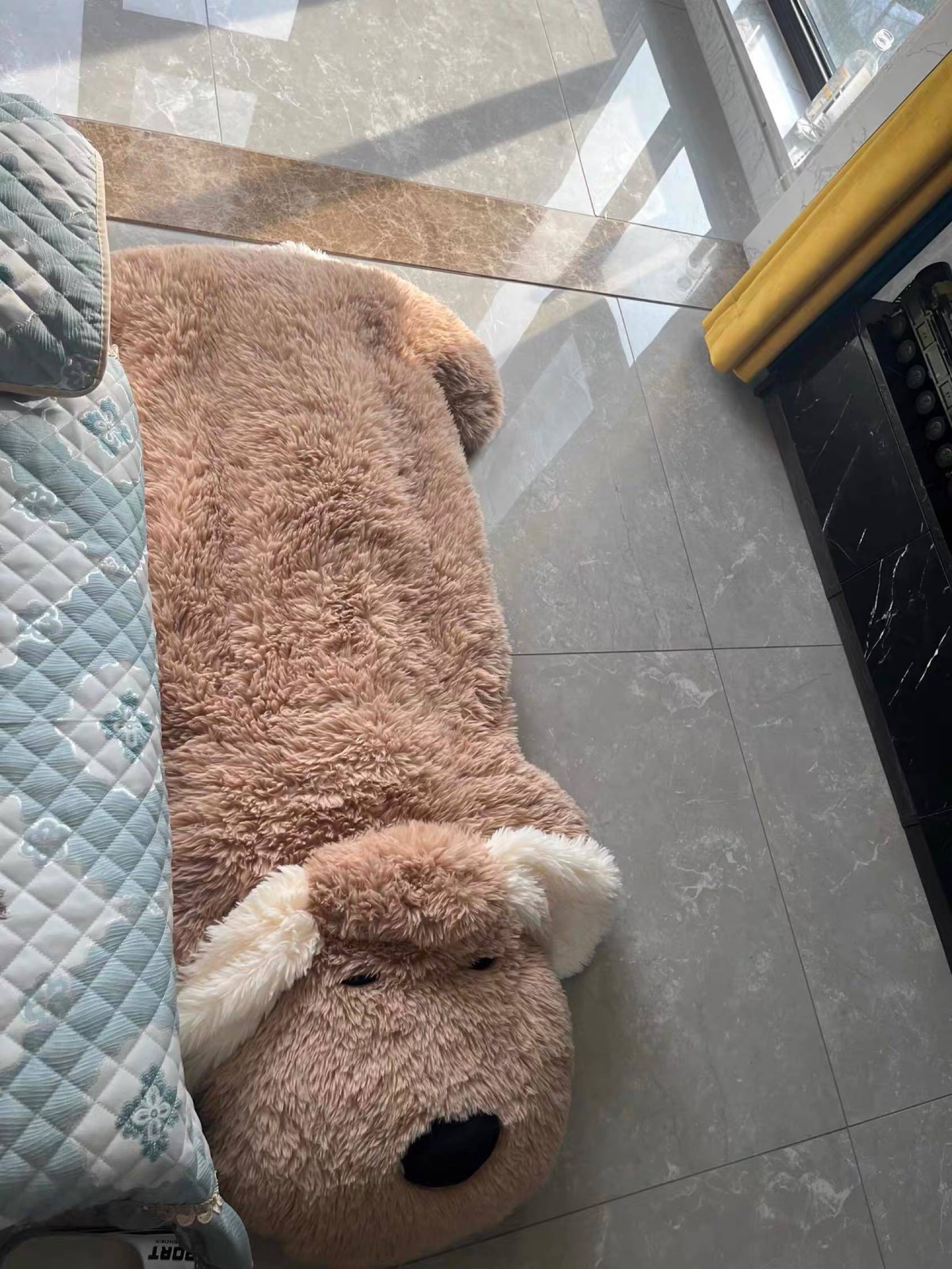 出闲置小狗地毯！！！_1