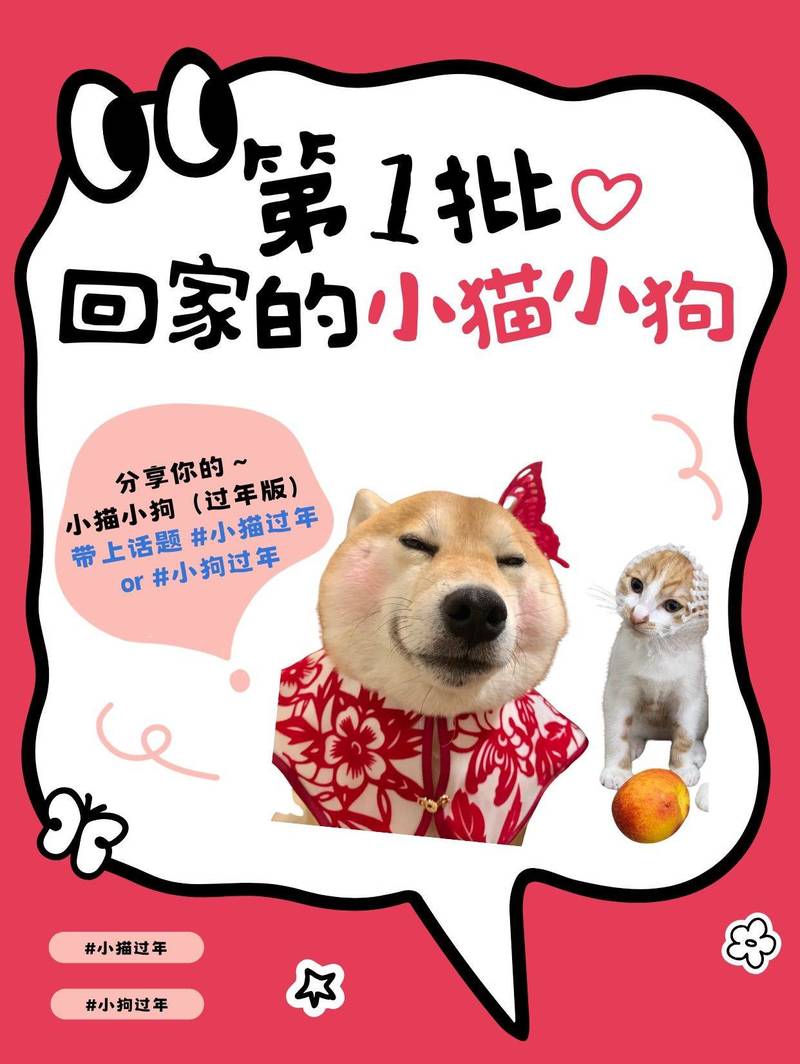 春节第一批回家的小咪小汪!