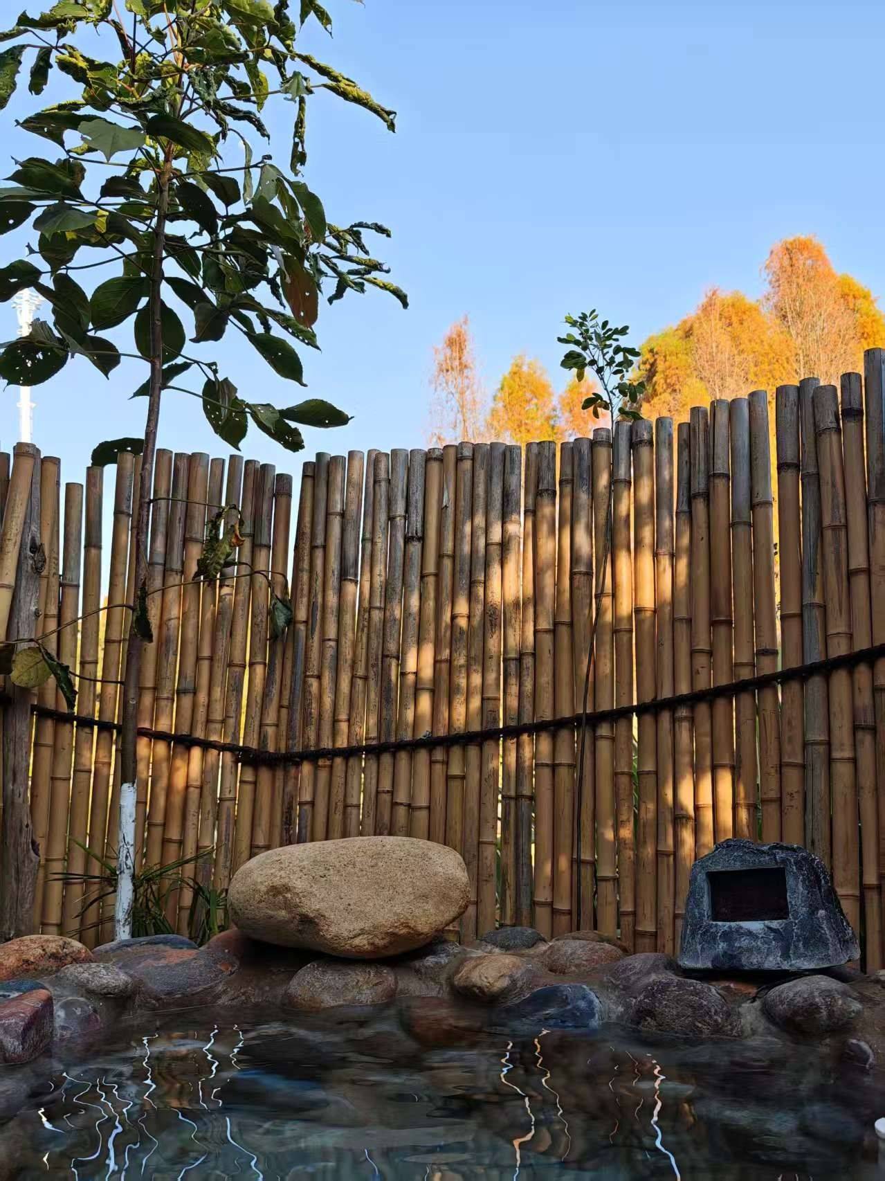 温泉太棒啦！_1