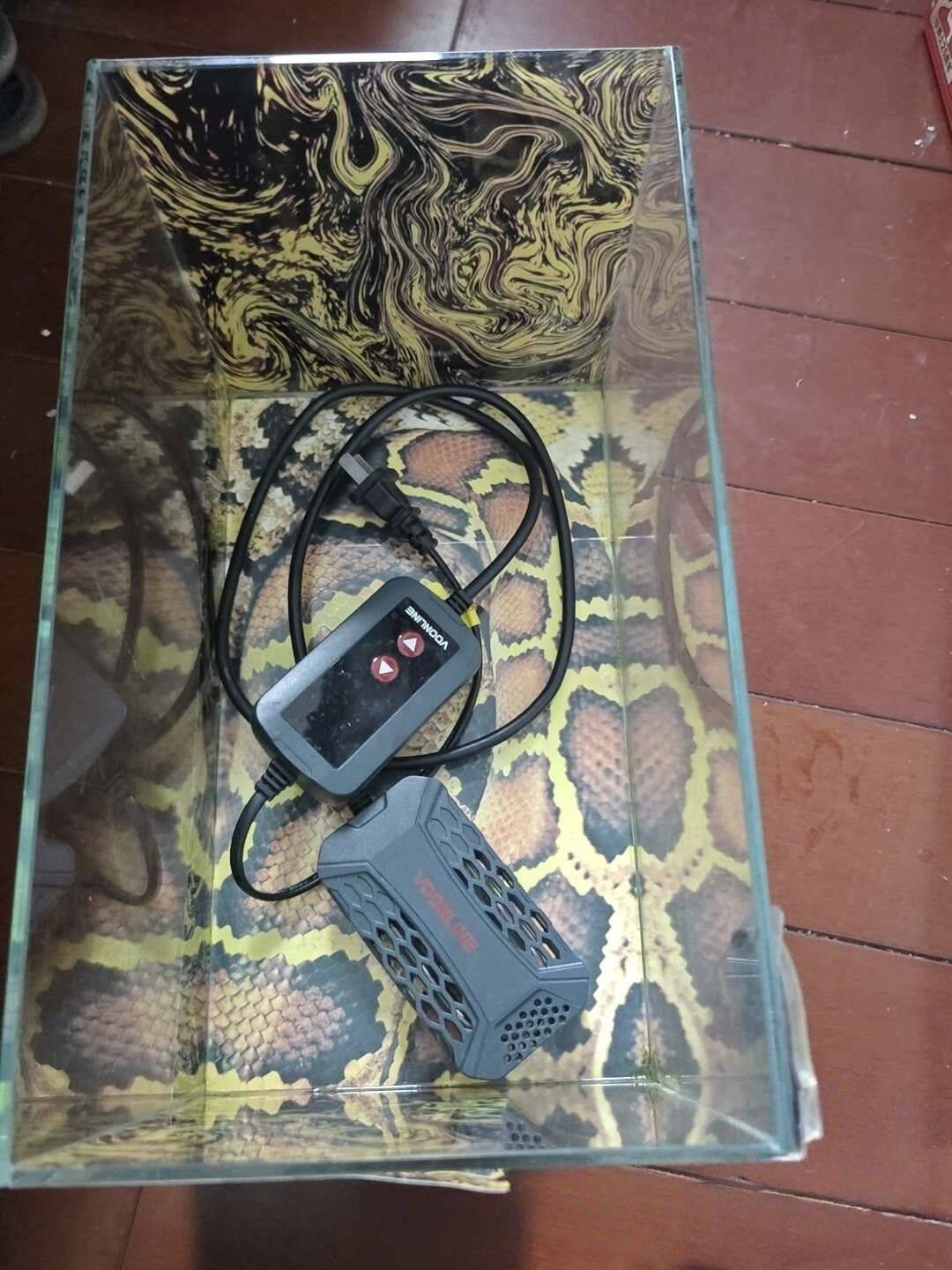 变异巴西，电动车，小鱼缸和沃威朗加热棒_2